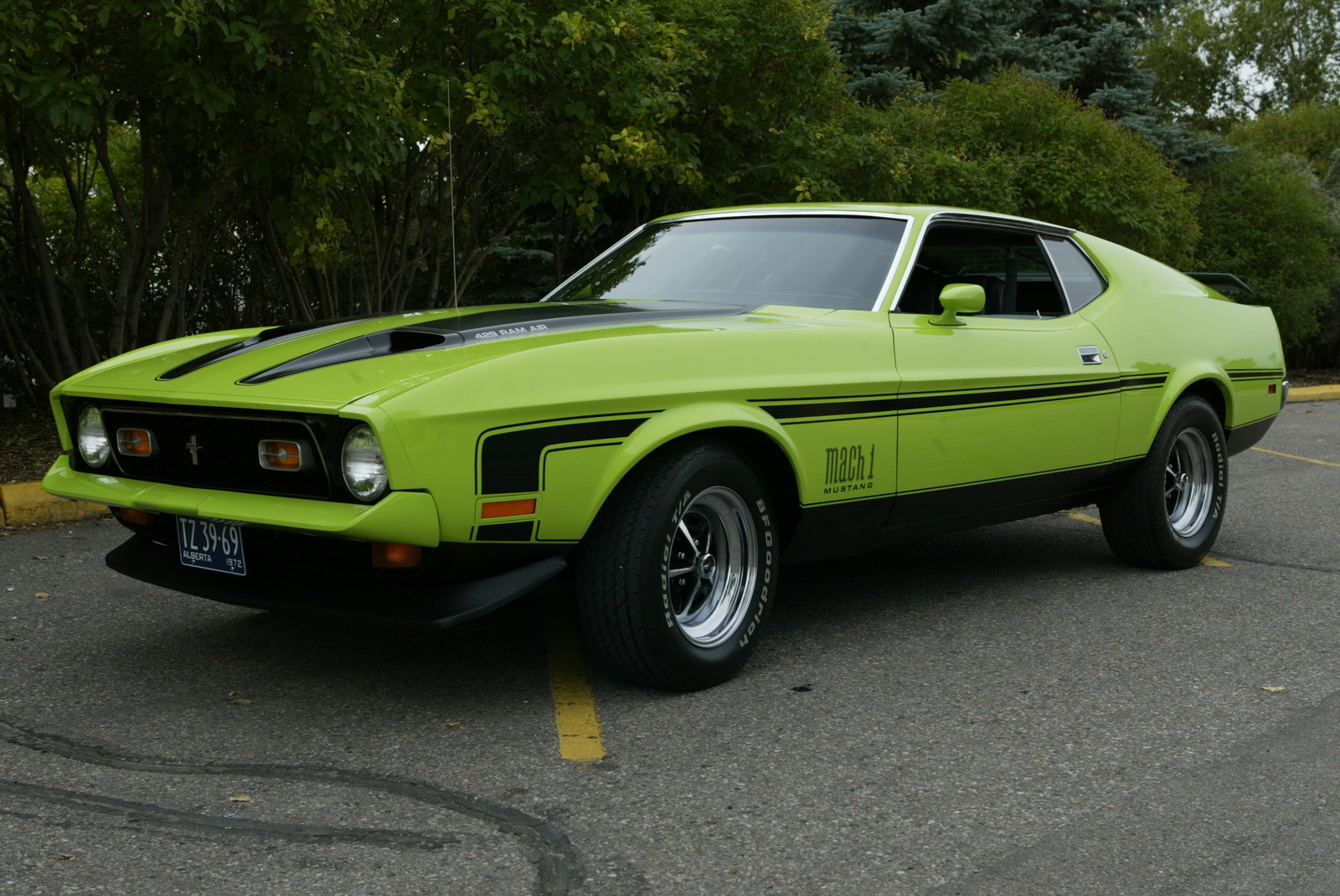 1966 Ford Mustang Mach 1 Wallpapers