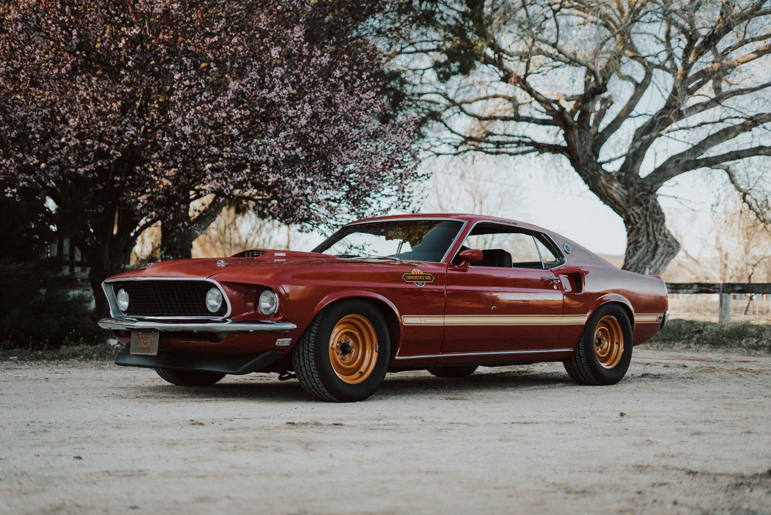 1966 Ford Mustang Mach 1 Wallpapers