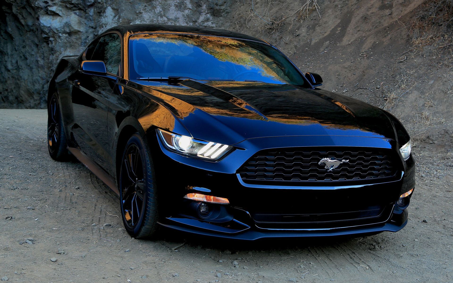 2015 Ford Mustang Gt Wallpapers