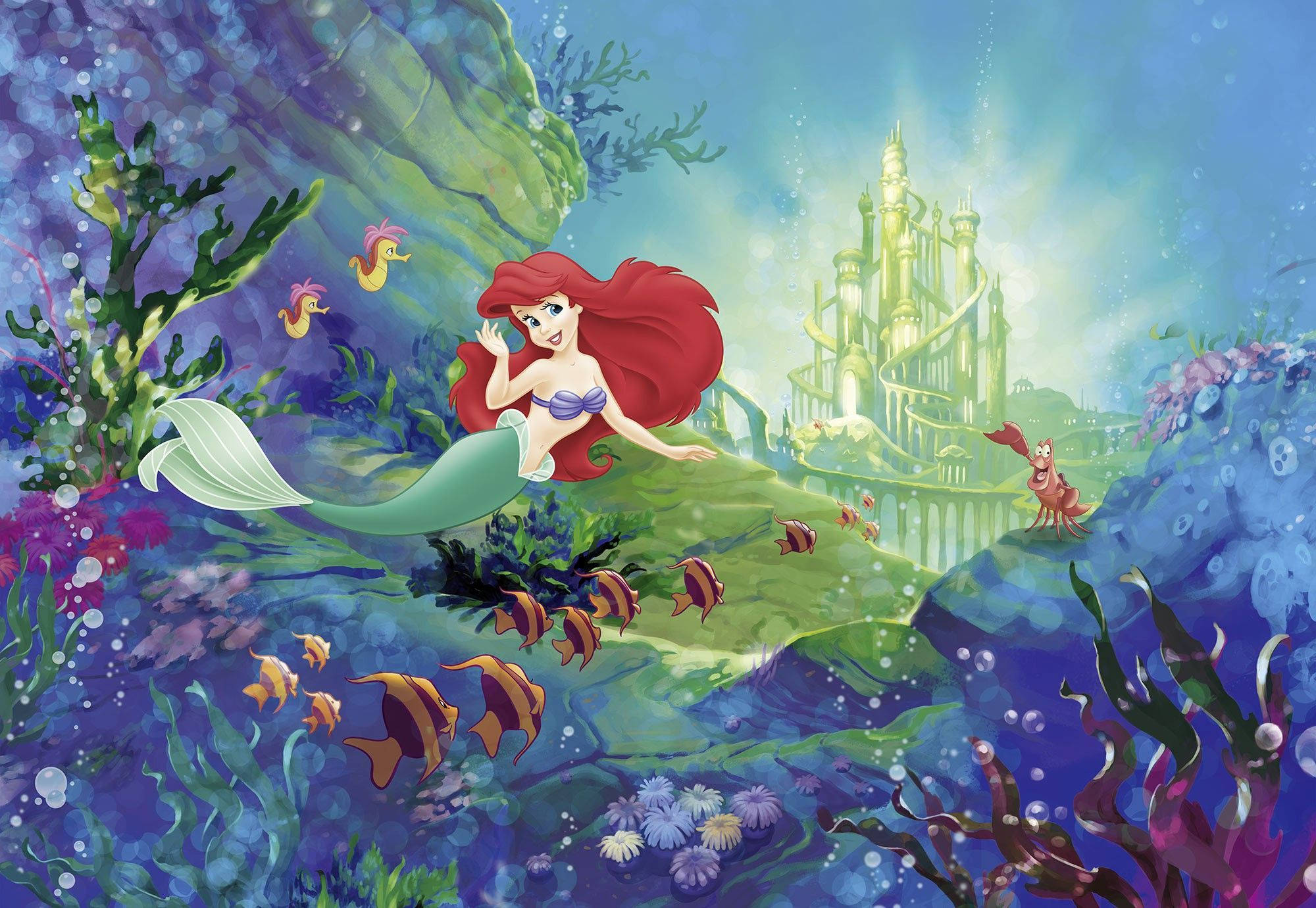 Ariel Wallpapers