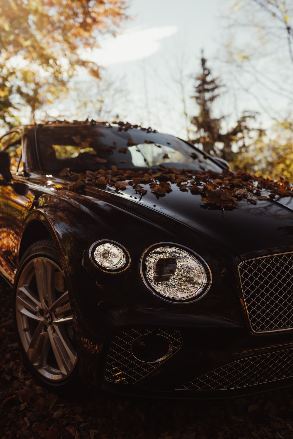 Bentley Continental Wallpapers