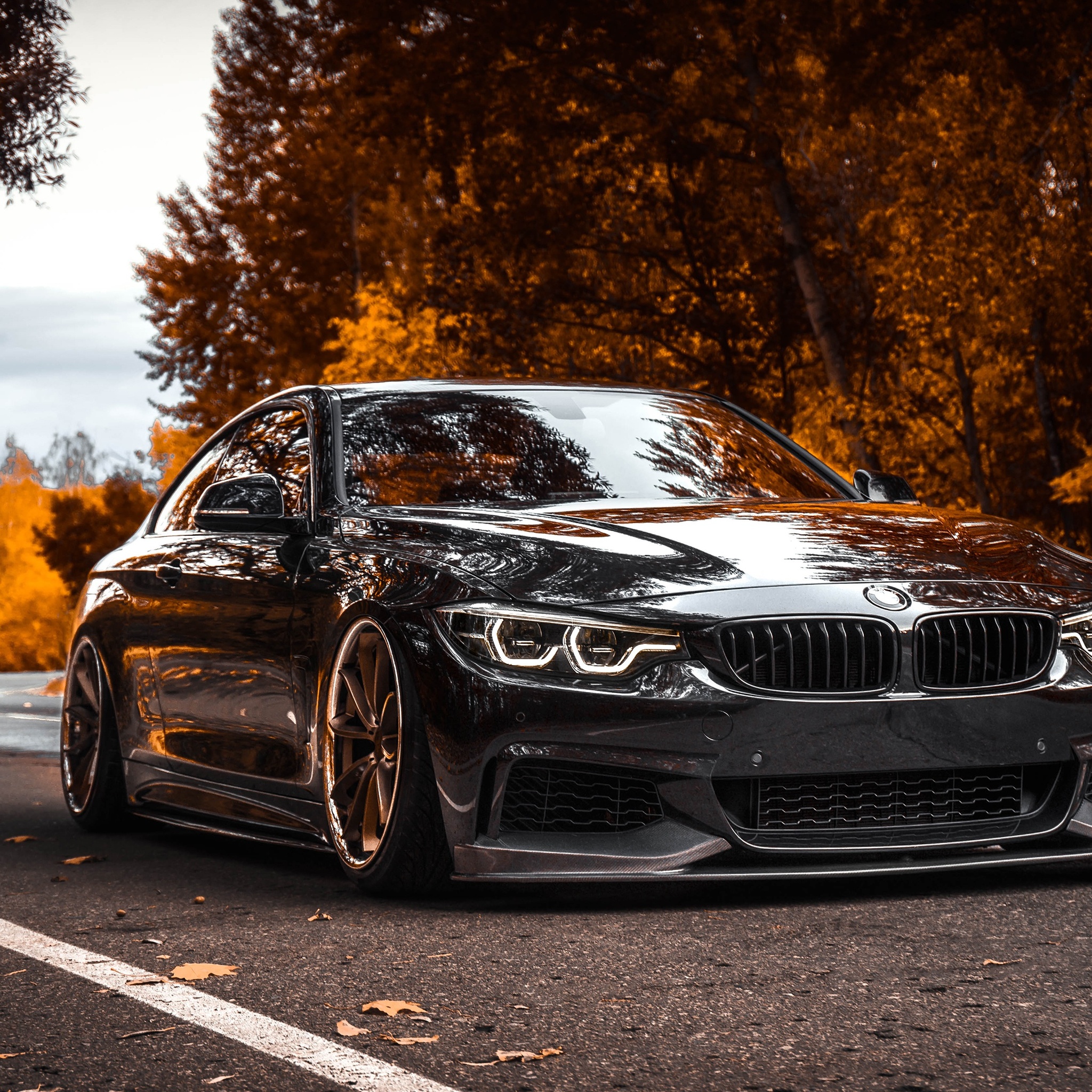 Black Bmw Wallpapers