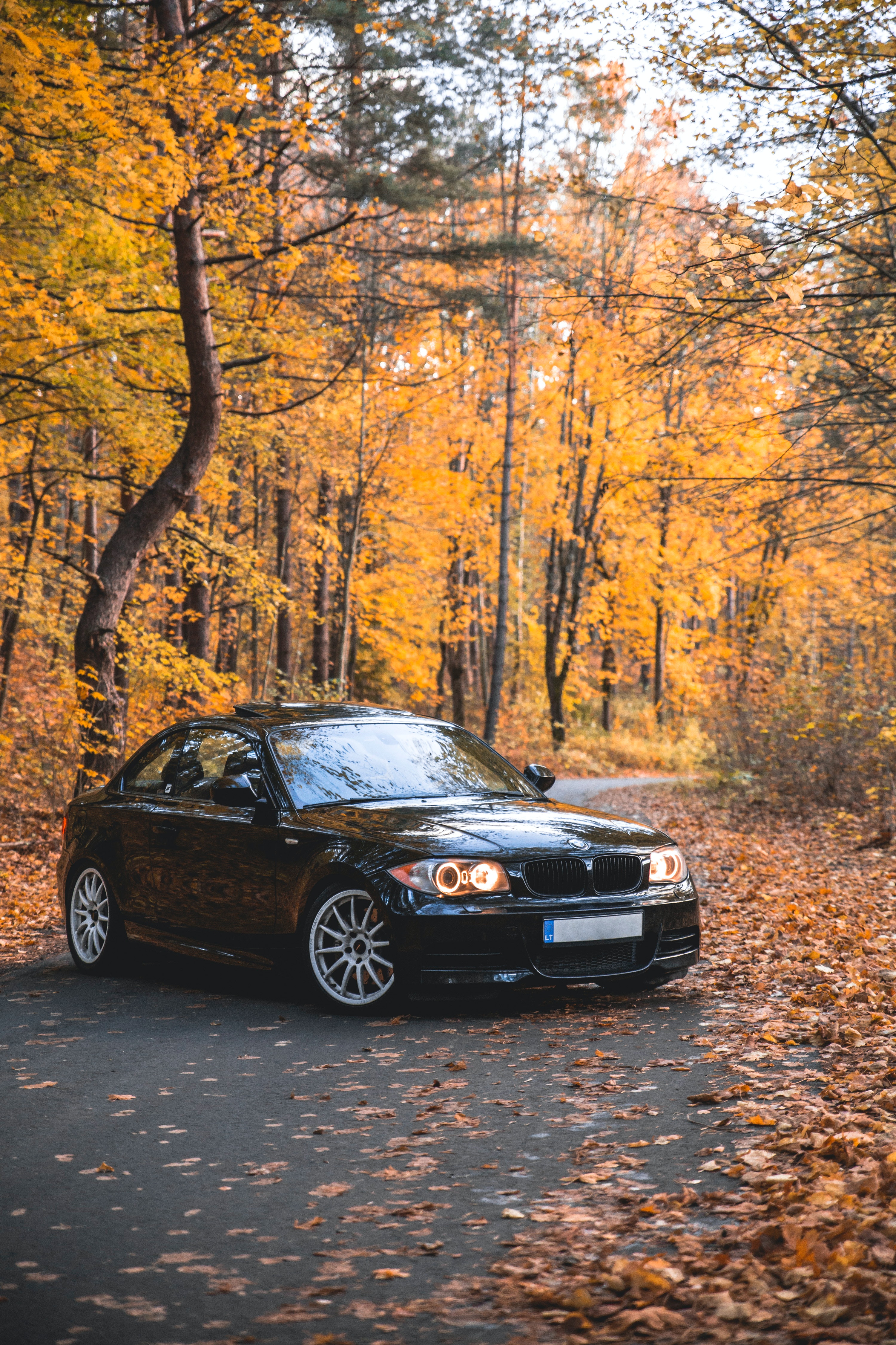 Bmw 135I Wallpapers