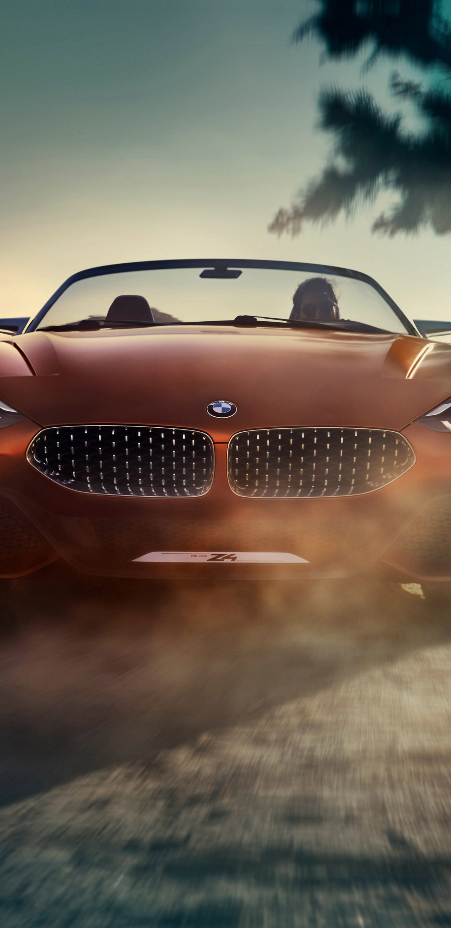 Bmw Concept Z4 Wallpapers