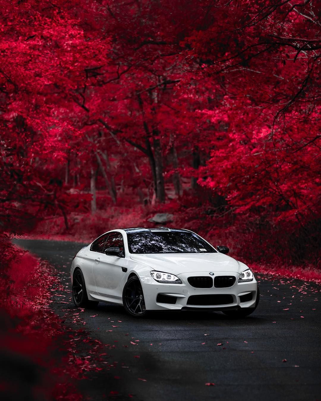Bmw M6 Wallpapers