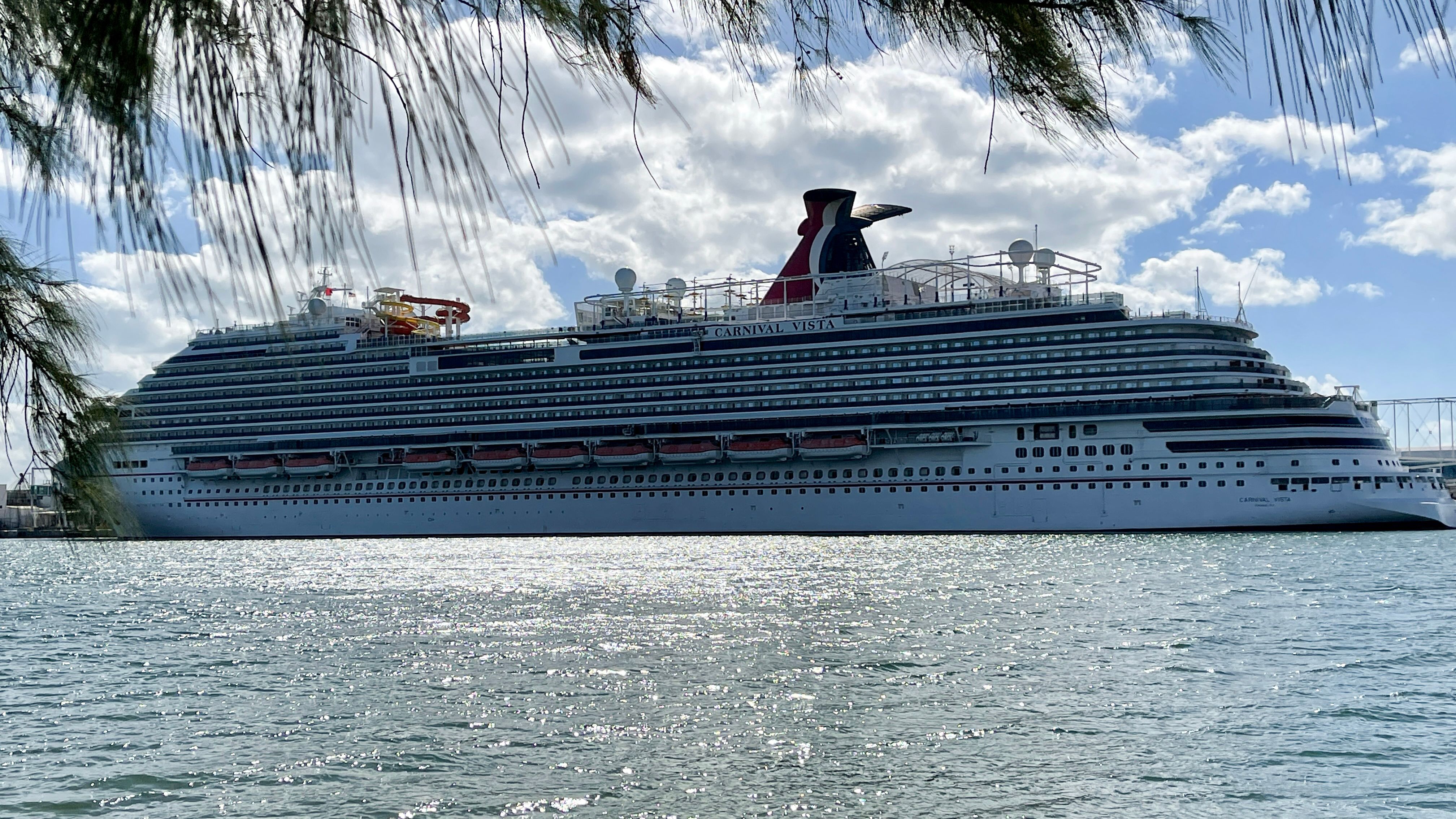Carnival Freedom Wallpapers