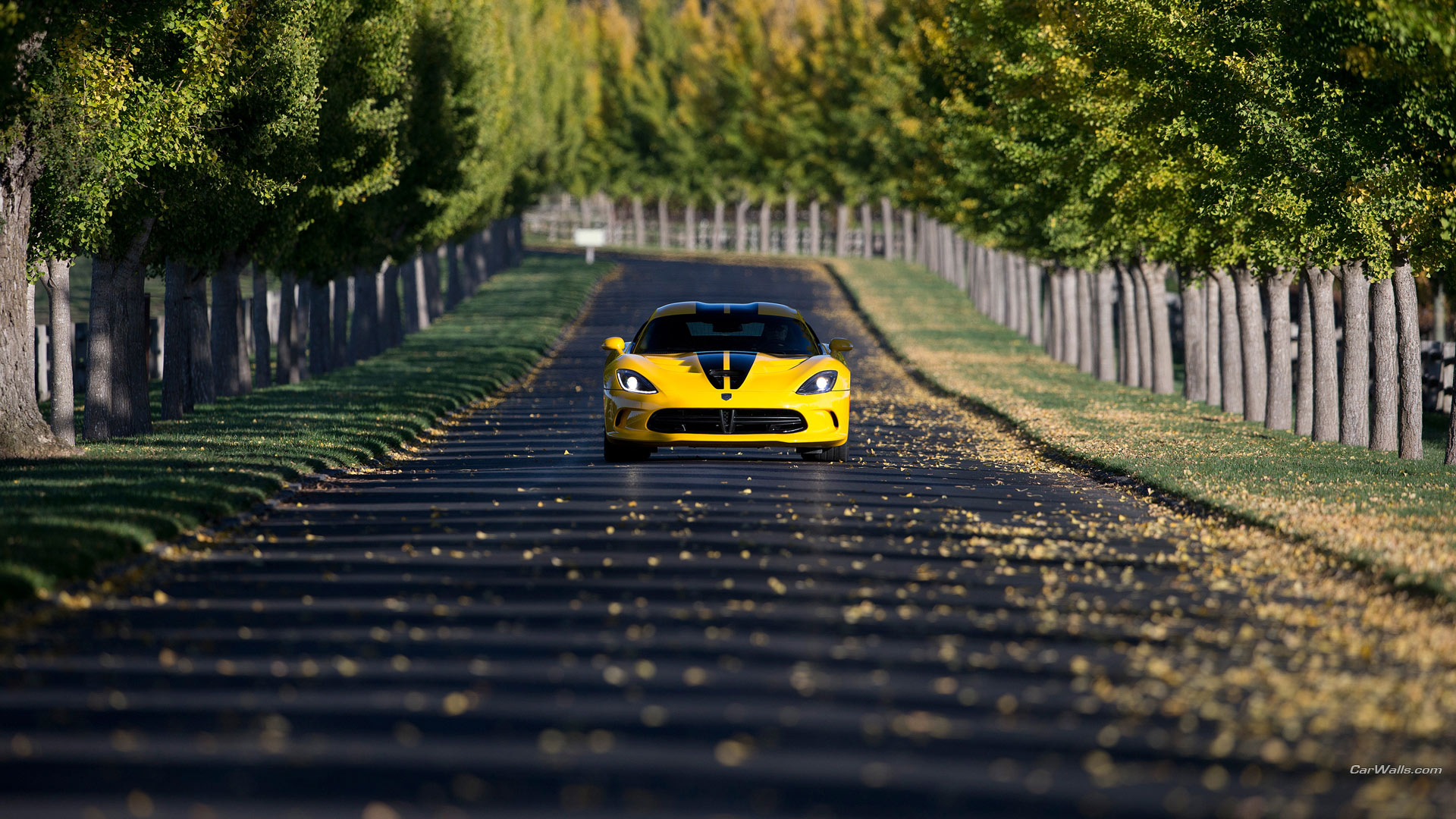 Dodge Srt Viper Gts Wallpapers