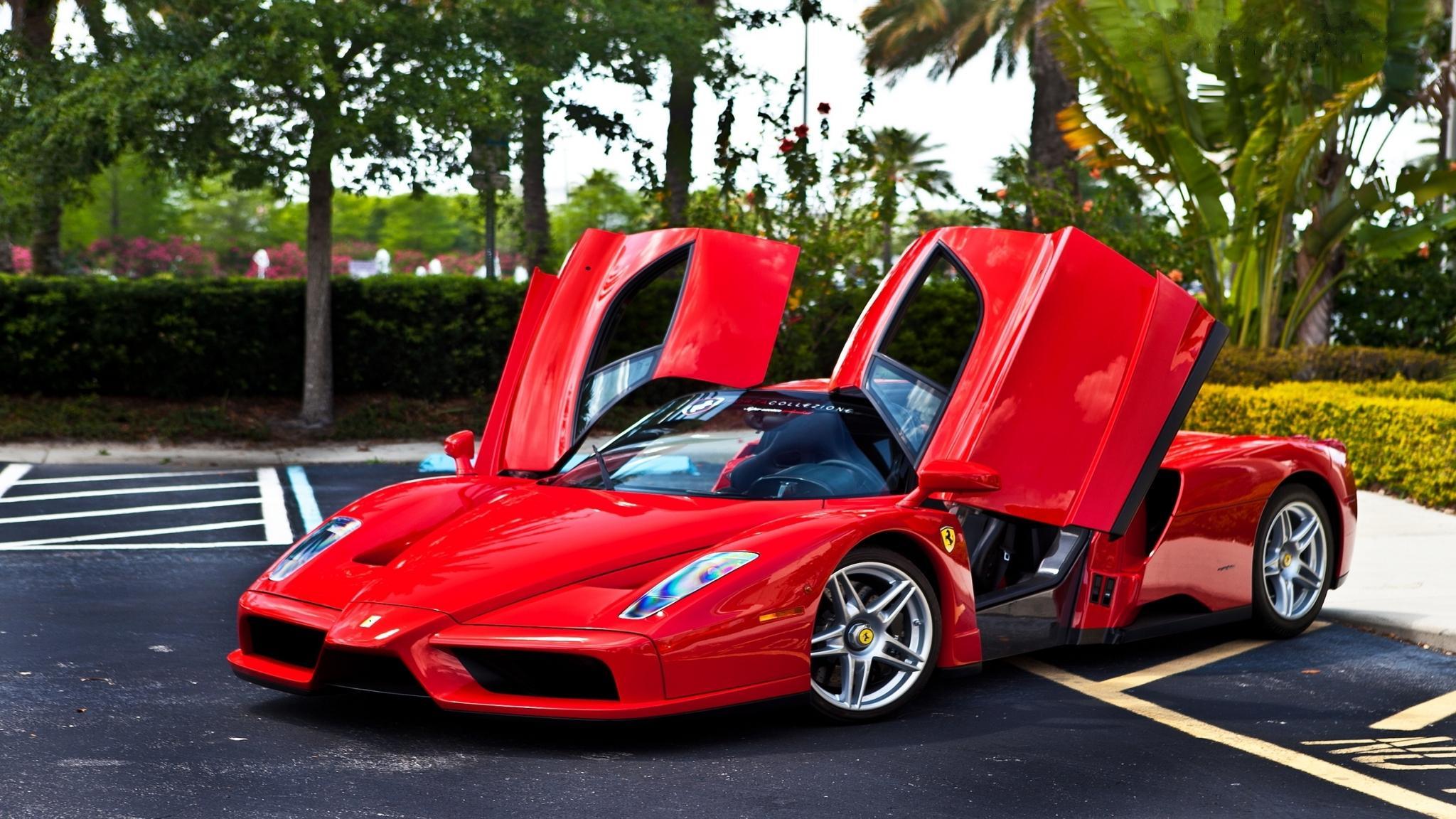 Ferrari Enzo Zxx Wallpapers