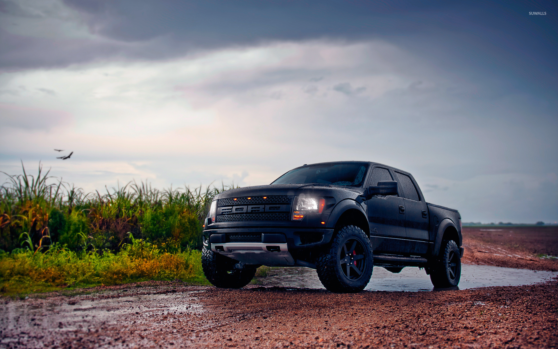Ford F-150 Raptor Wallpapers