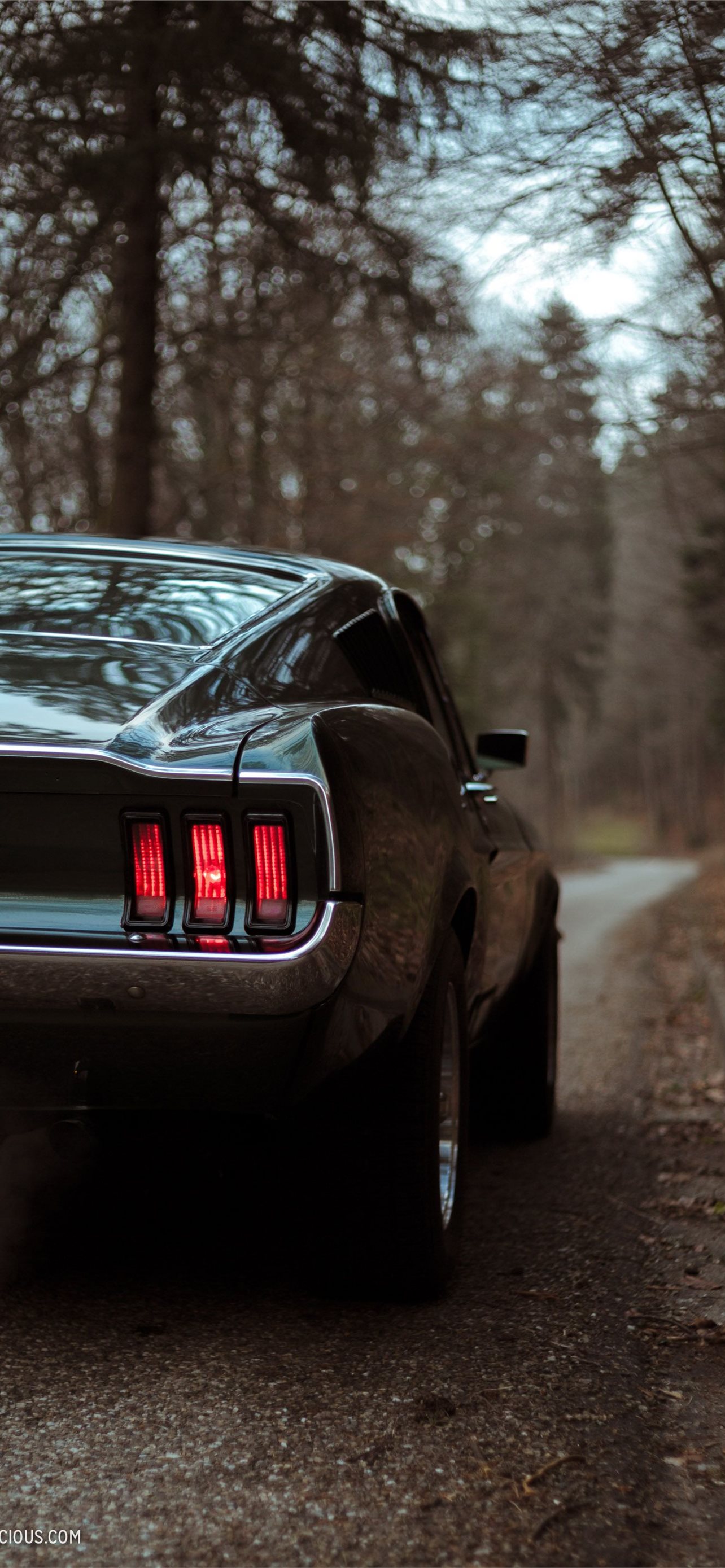 Ford Mustang Boss 429 Wallpapers