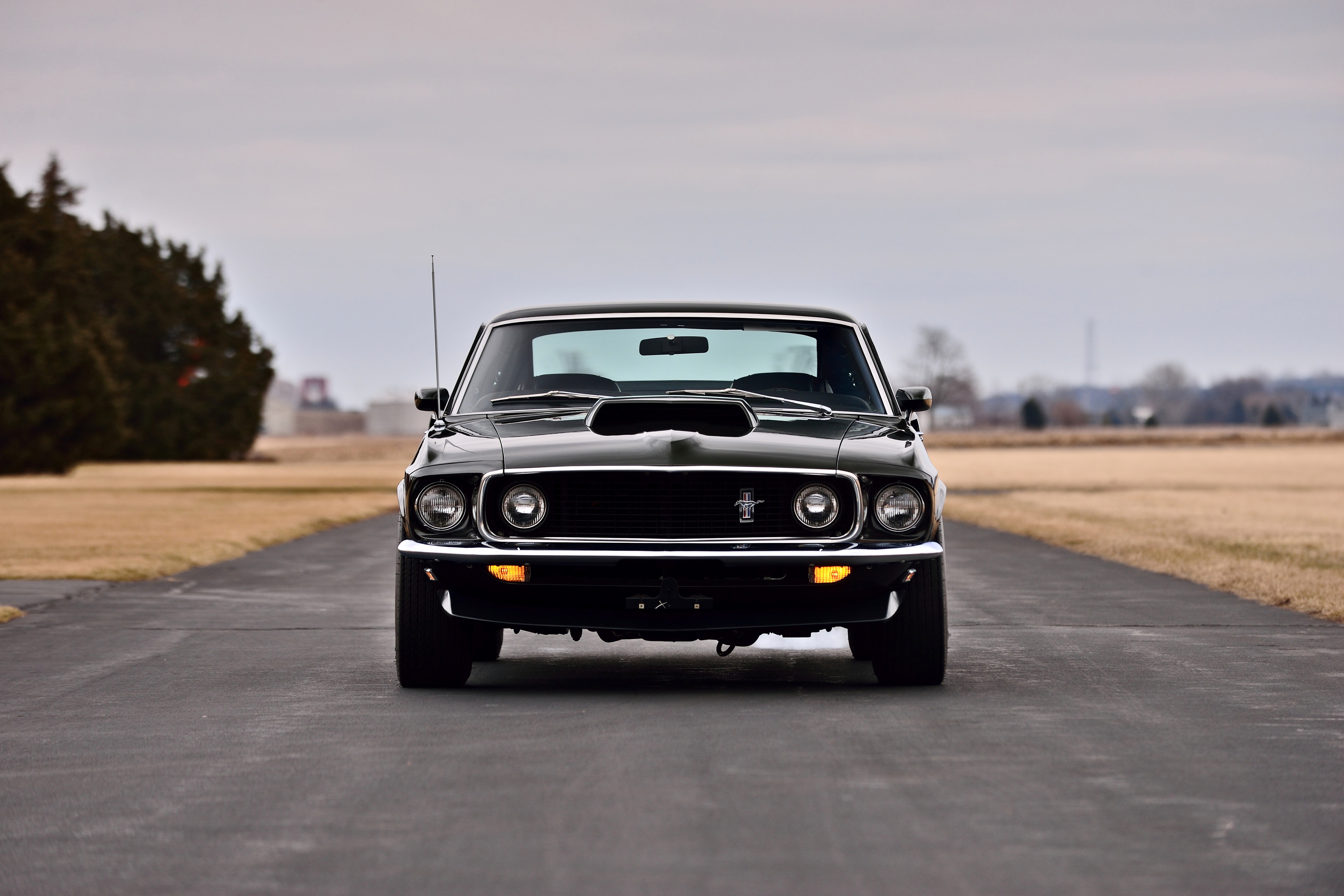 Ford Mustang Boss 429 Wallpapers