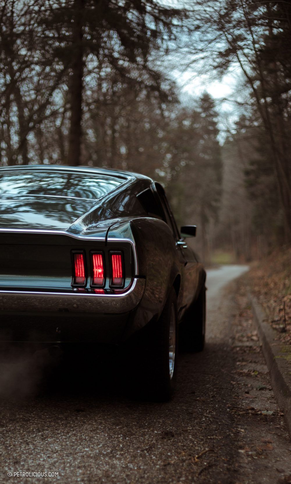 Ford Mustang Fastback Wallpapers