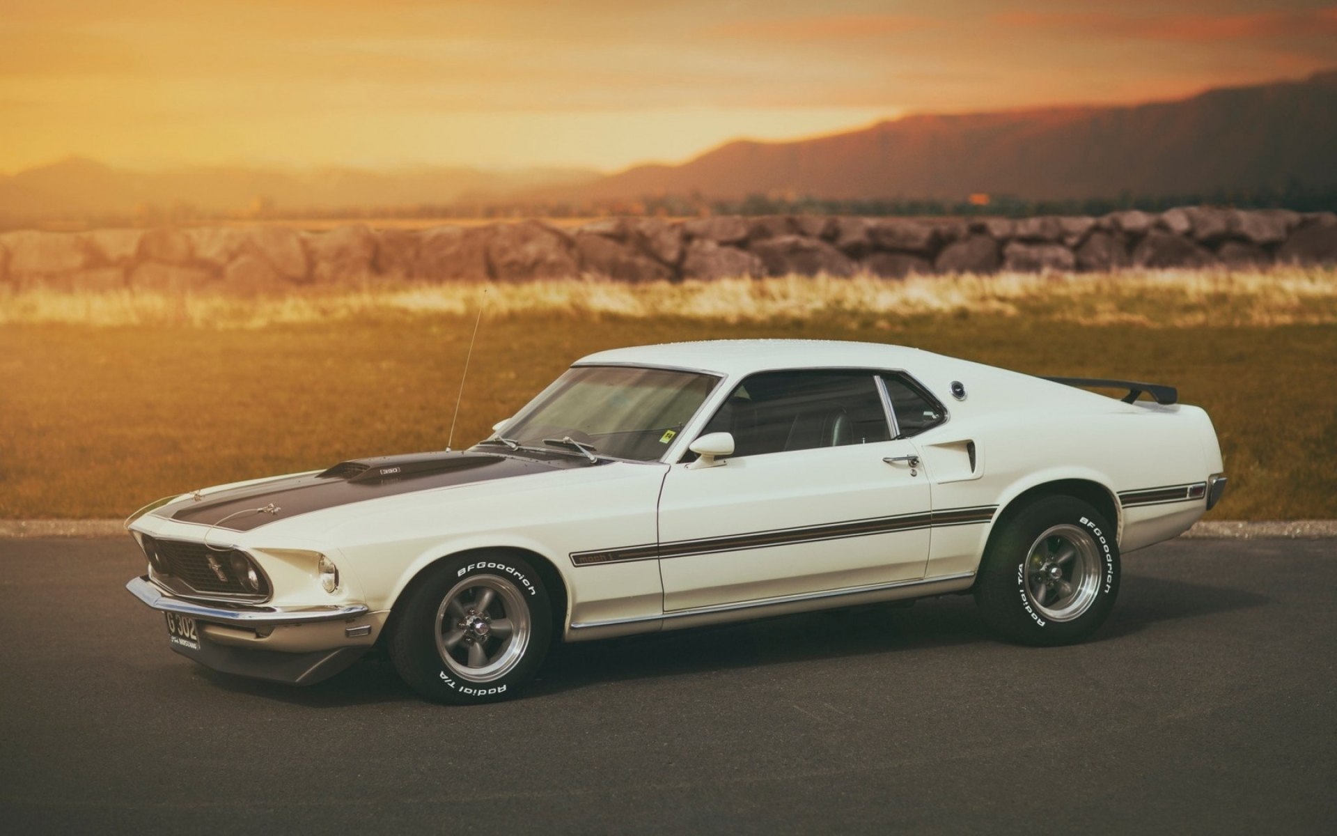 Ford Mustang Mach 1 Wallpapers