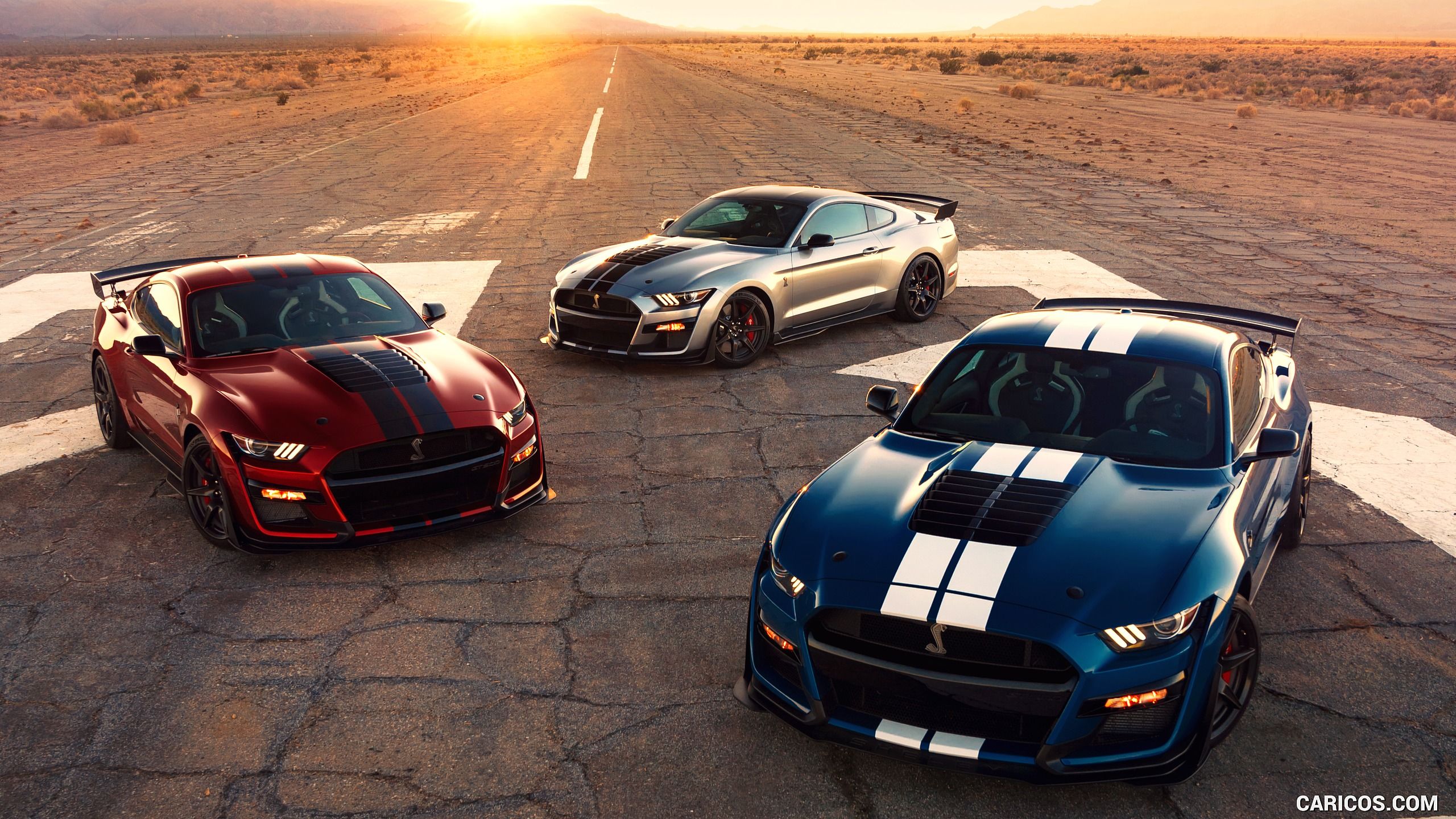 Ford Mustang Shelby Wallpapers