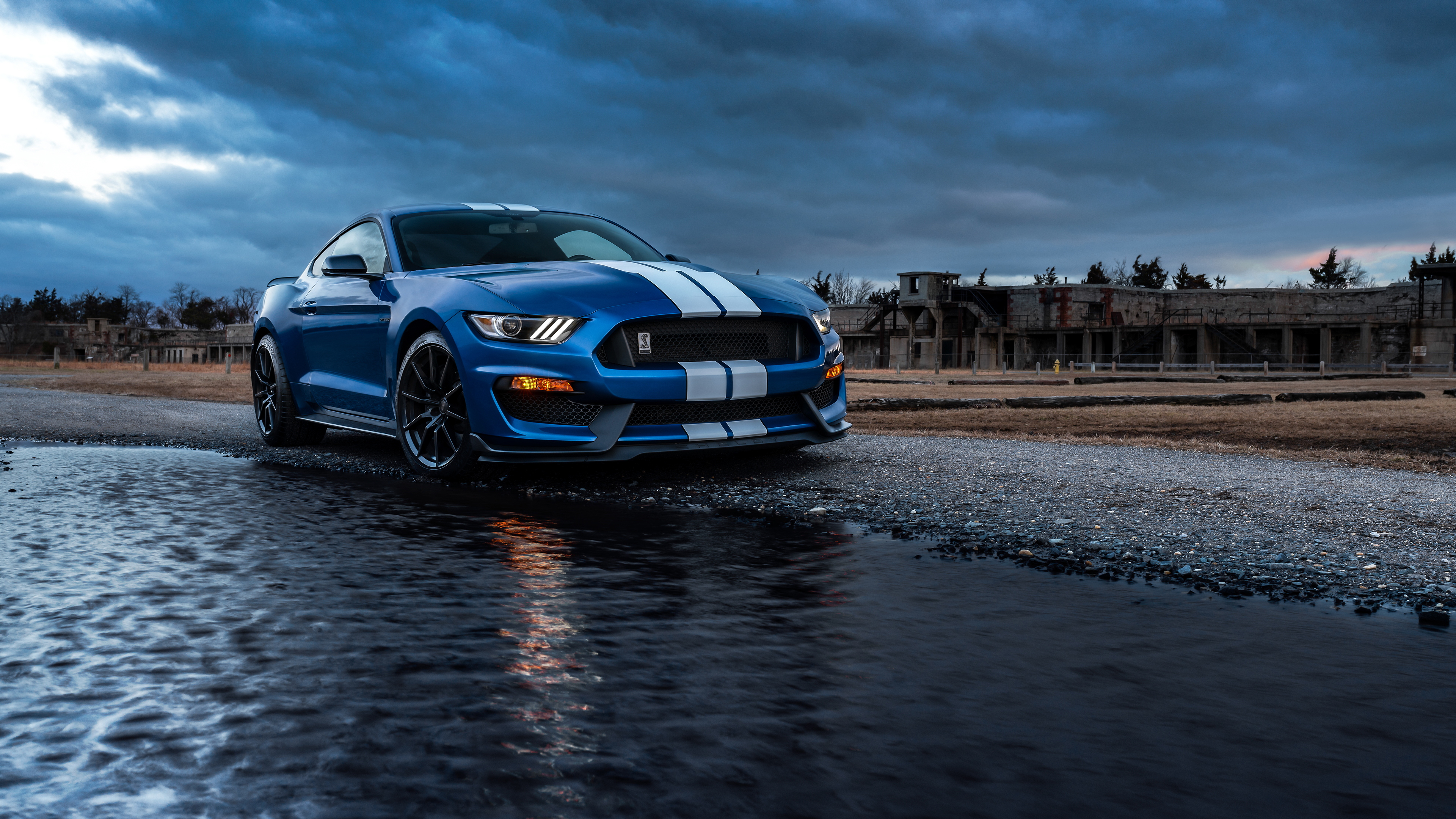Ford Mustang Shelby Cobra Gt 500 Wallpapers
