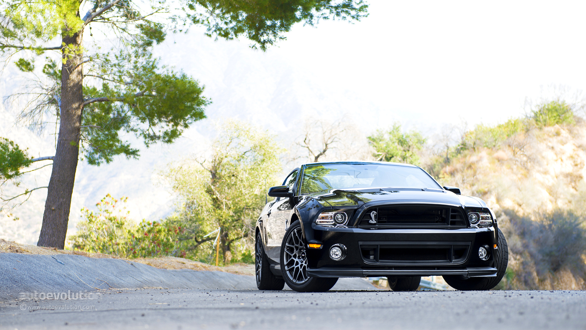 Ford Mustang Shelby Cobra Gt 500 Wallpapers
