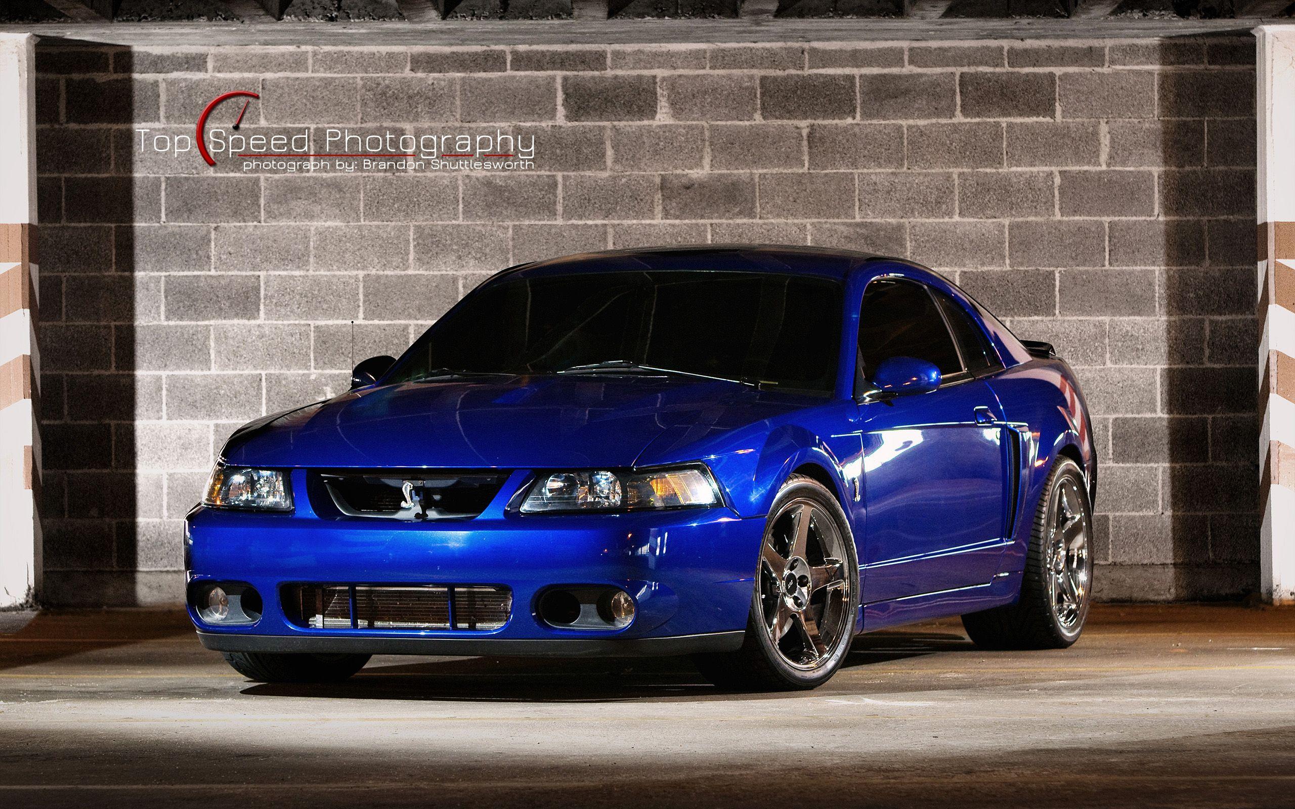 Ford Mustang Svt Cobra Wallpapers