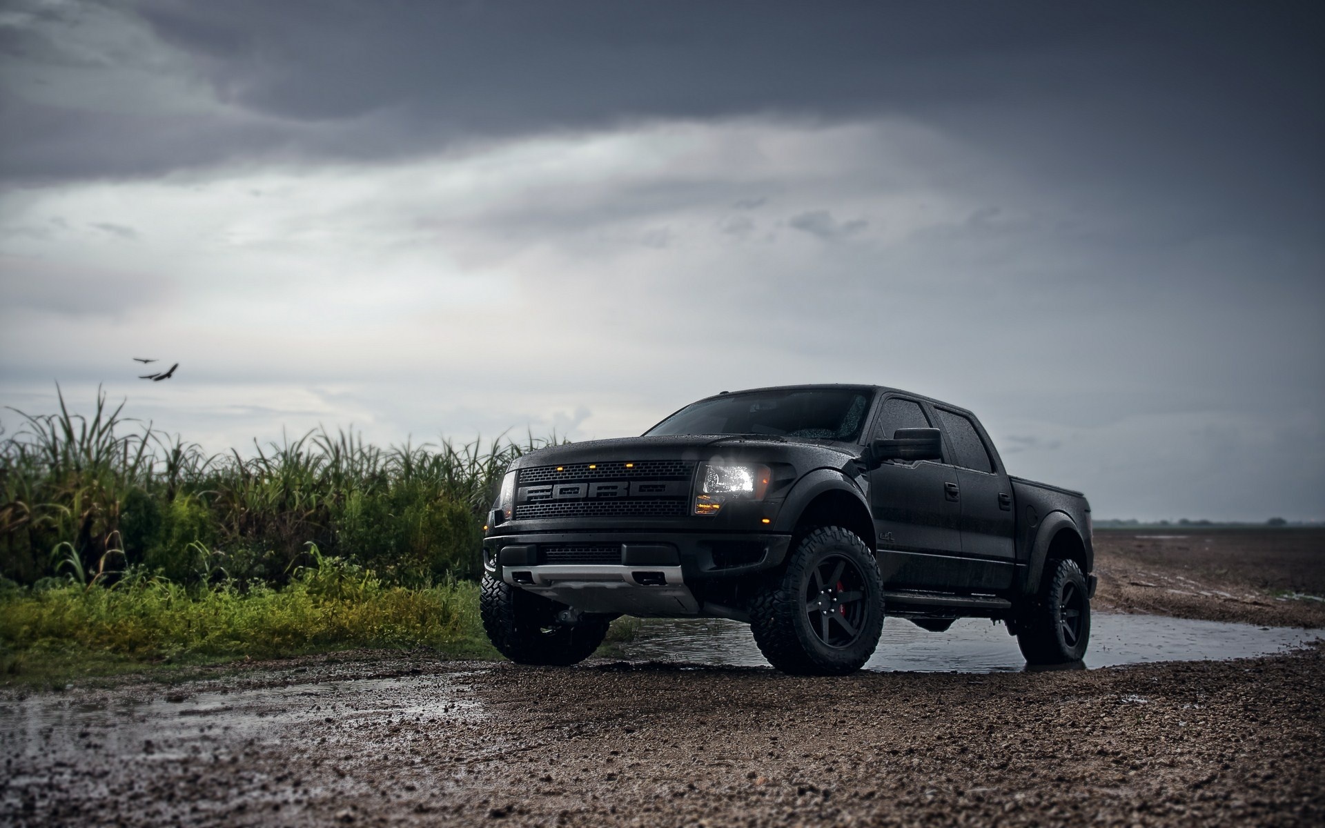 Ford Raptor Wallpapers