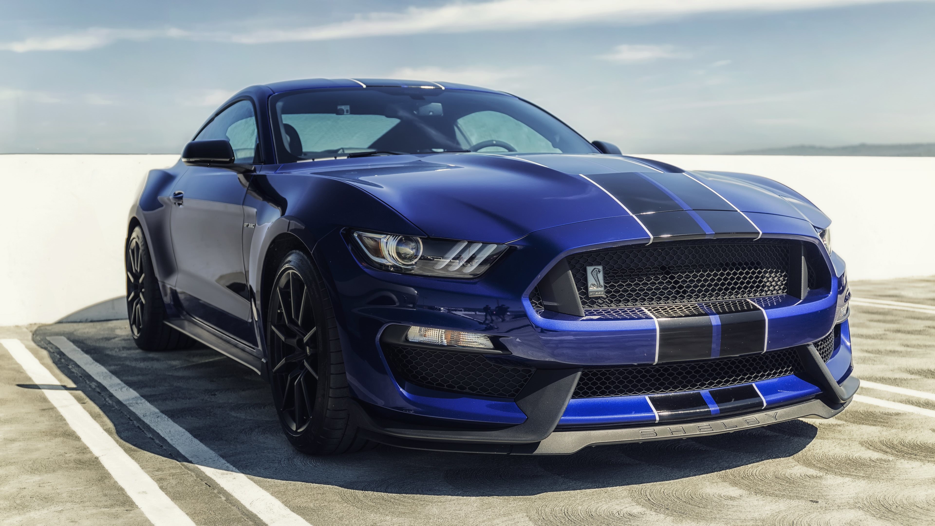 Ford Shelby Fp350S Mustang Wallpapers