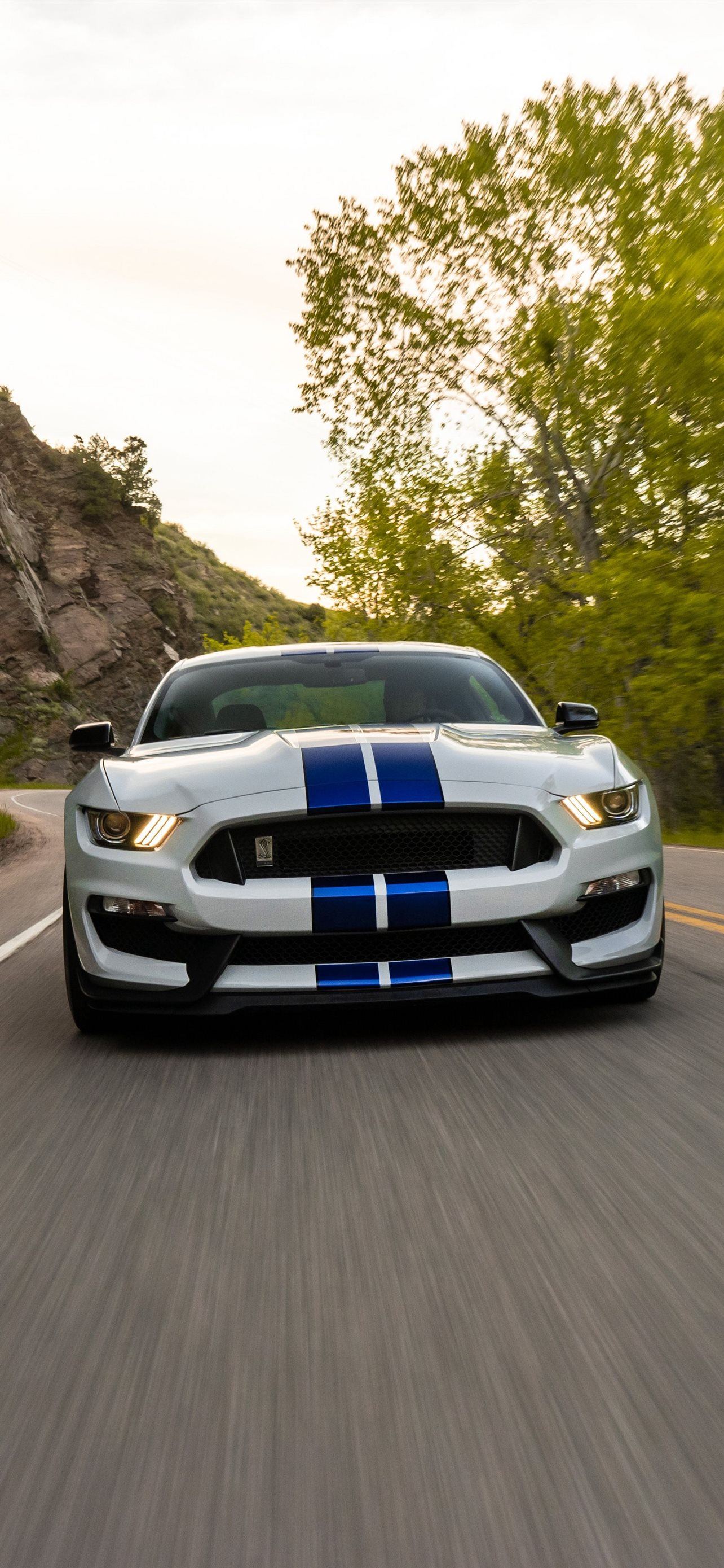 Ford Shelby Gt350 Wallpapers