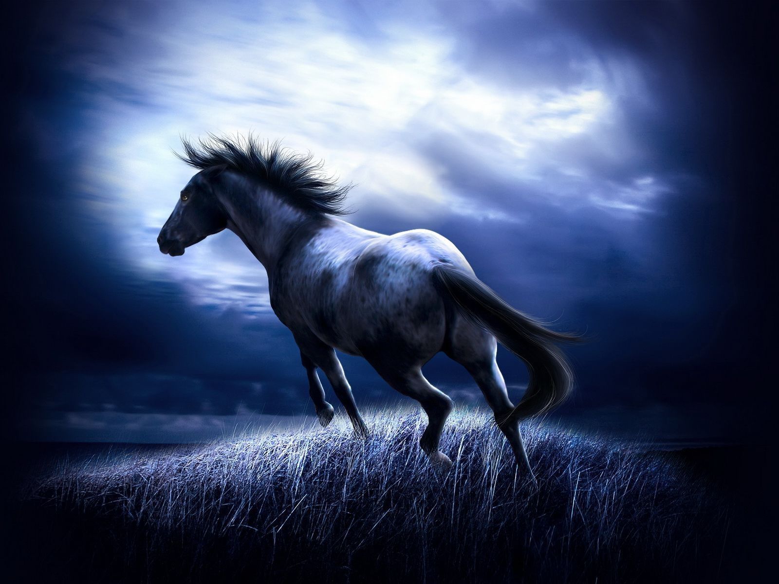 Horse Drawn Wallpapers