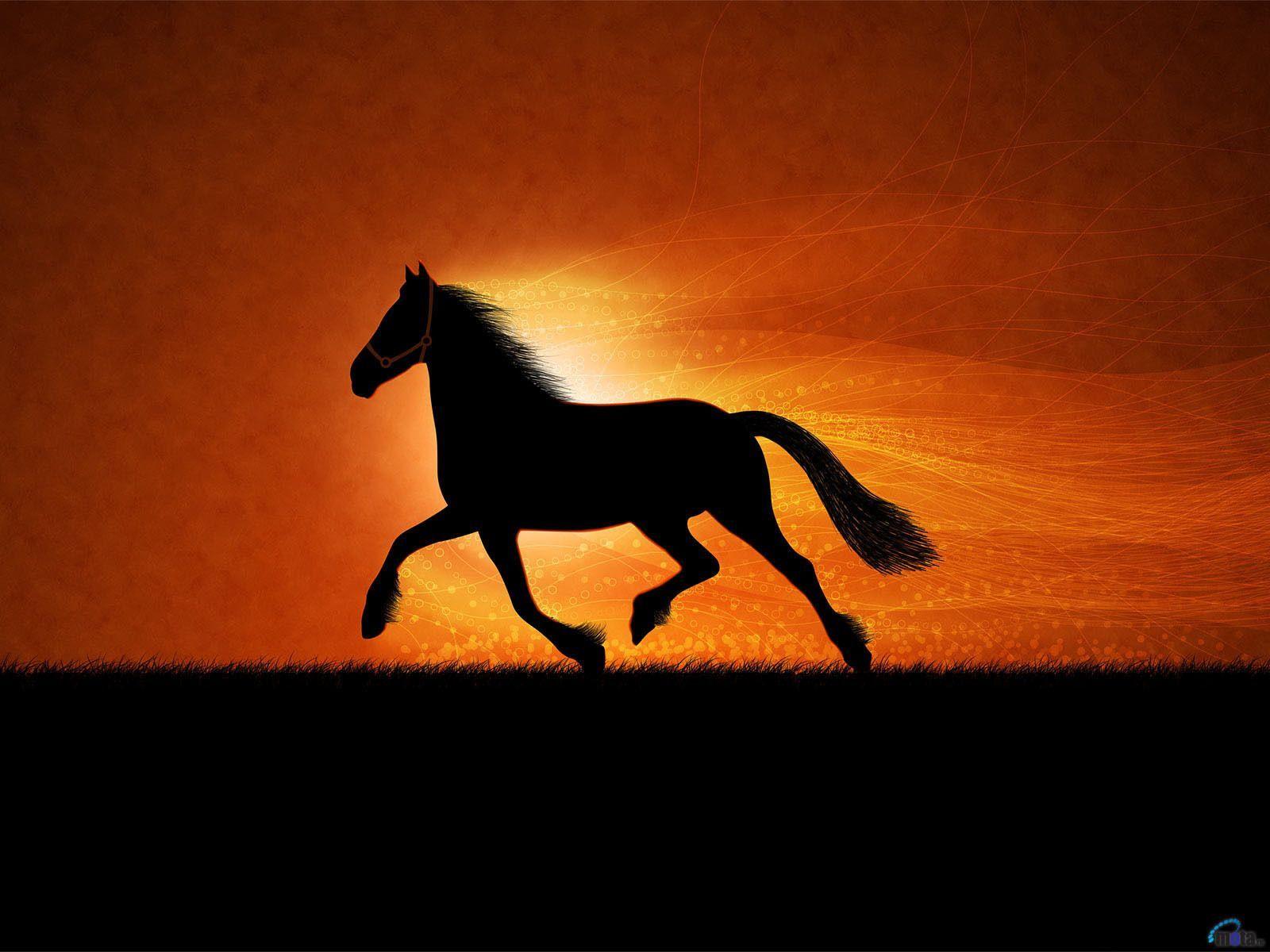 Horse Drawn Wallpapers