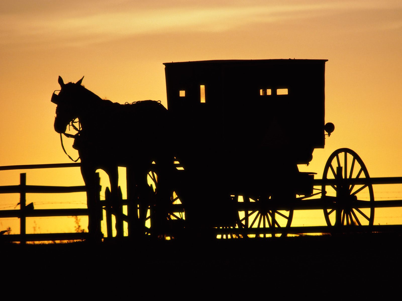 Horse Drawn Wallpapers