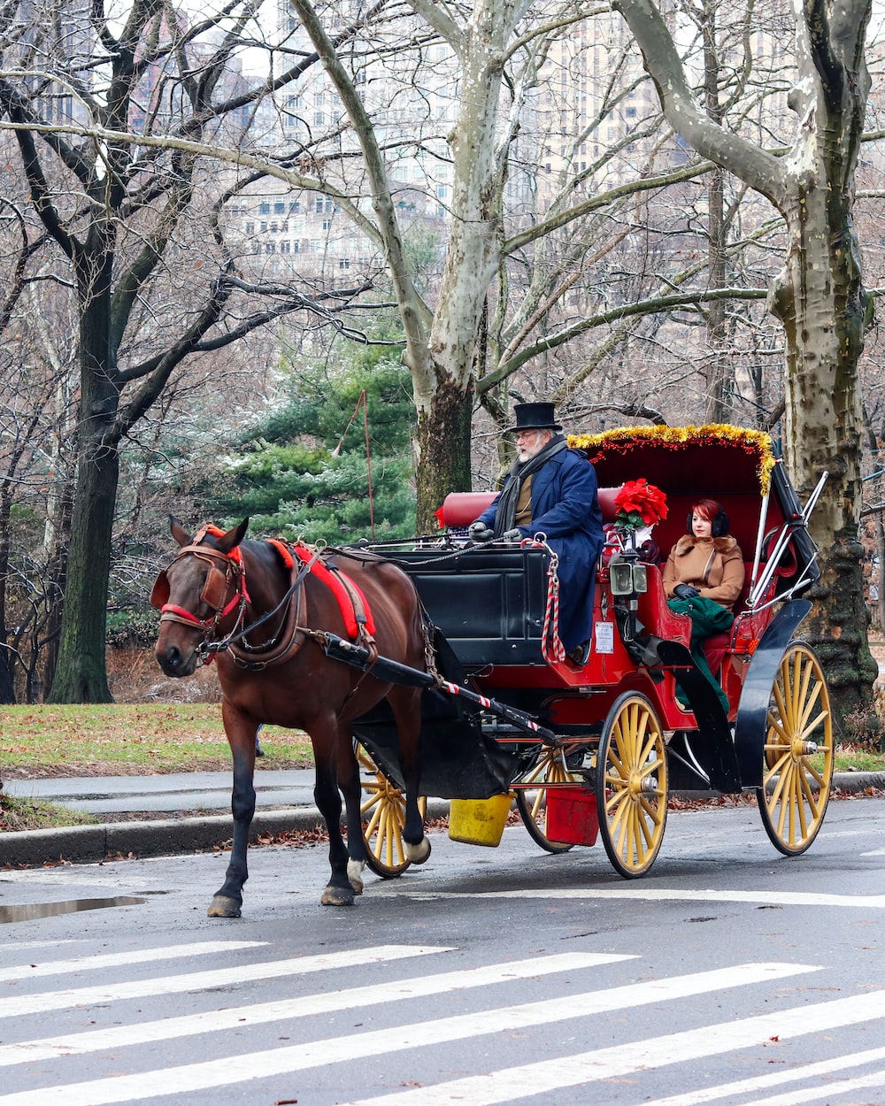 Horse Drawn Vehicle Wallpapers