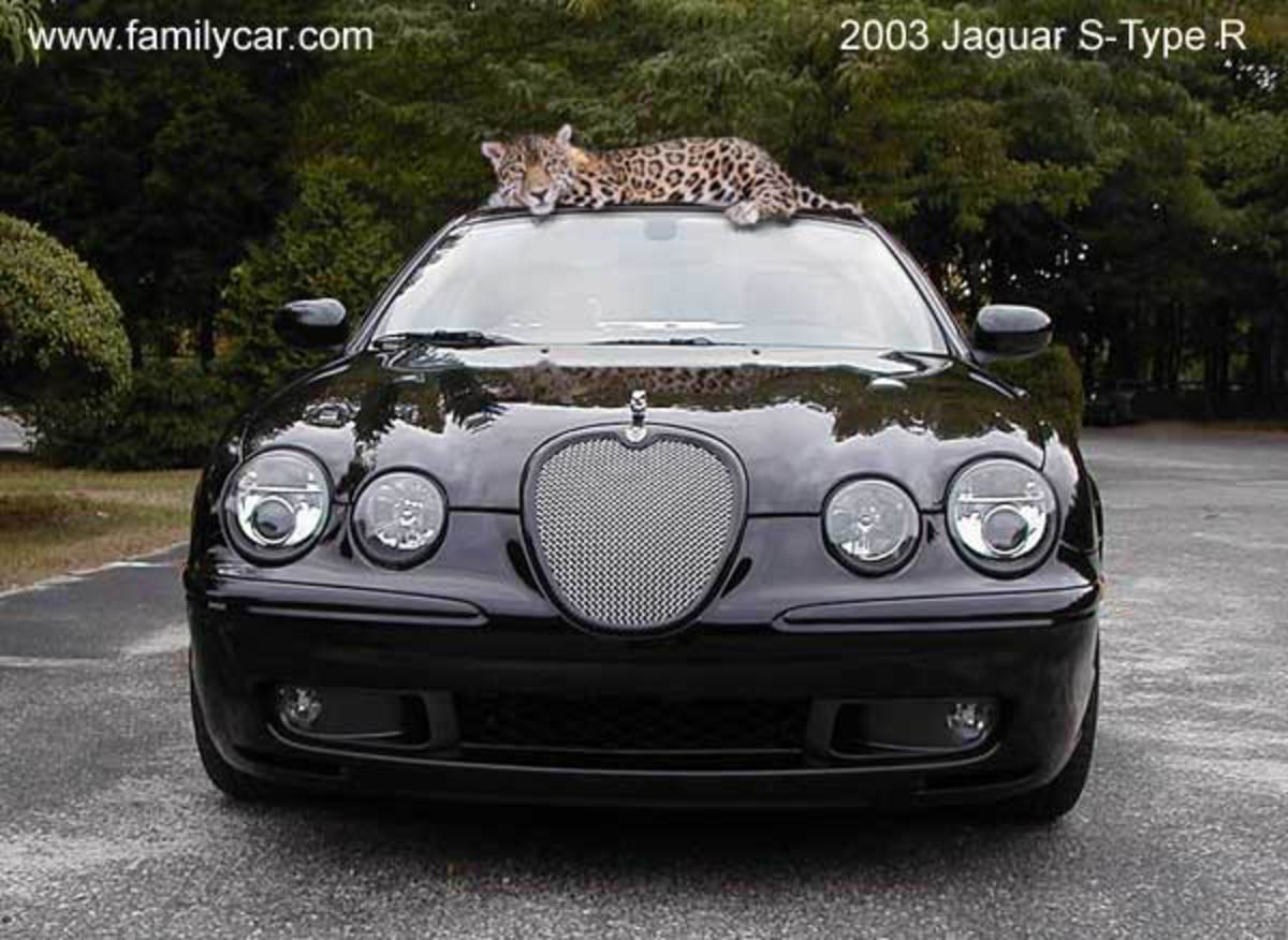 Ягуар с круглыми фарами 2005