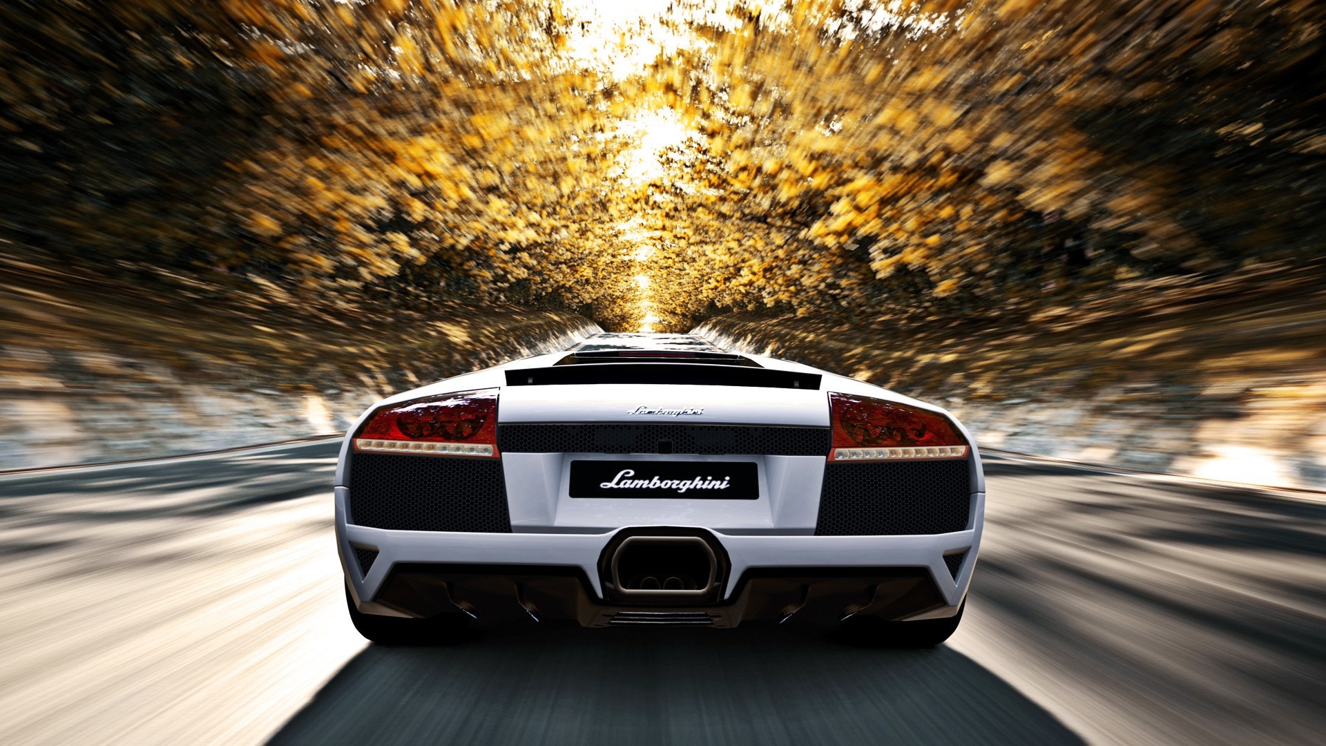 Lamborghini Murcielago Wallpapers