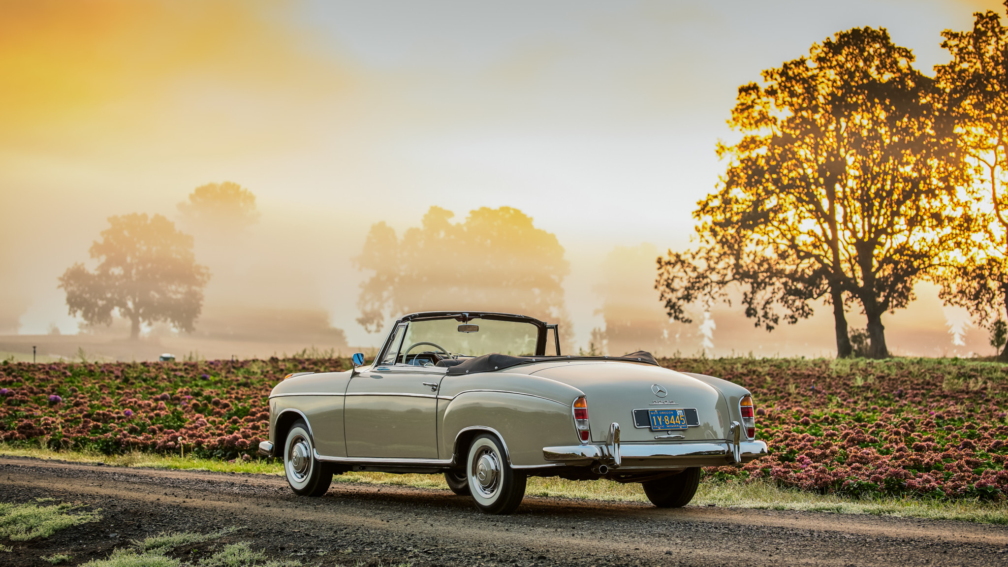 Mercedes-Benz 220S Wallpapers