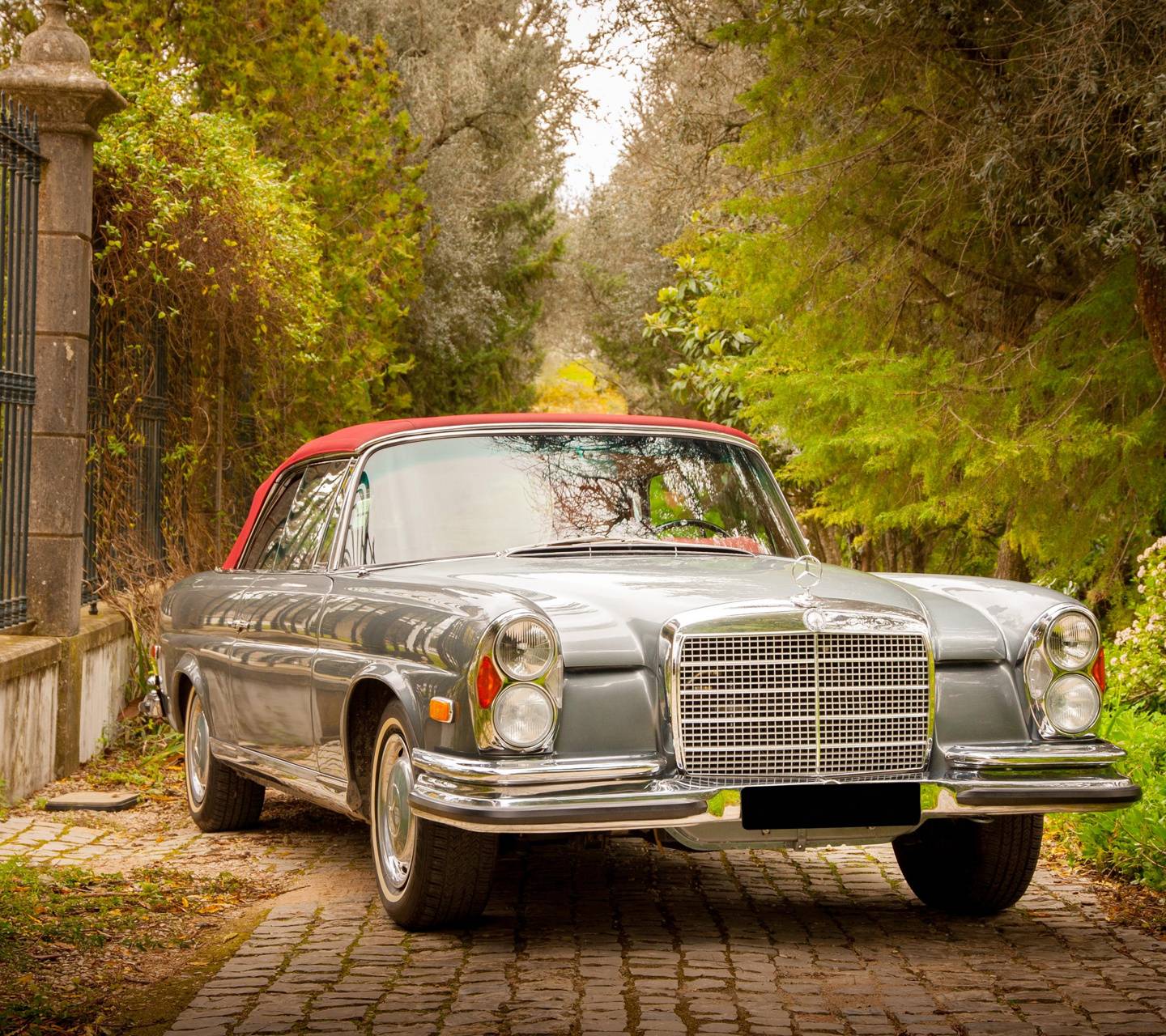 Mercedes-Benz W111 Wallpapers