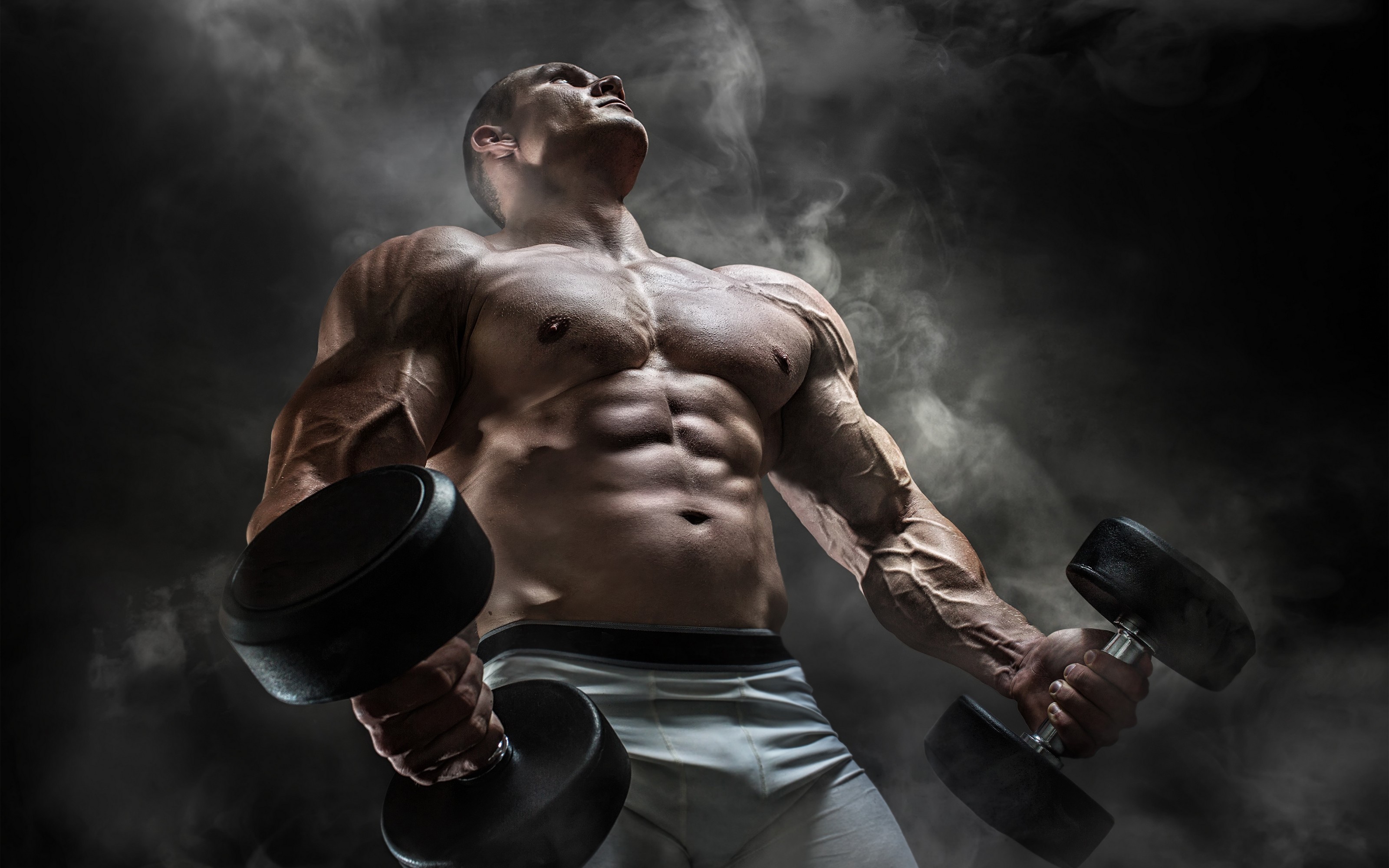 Muscle Wallpapers