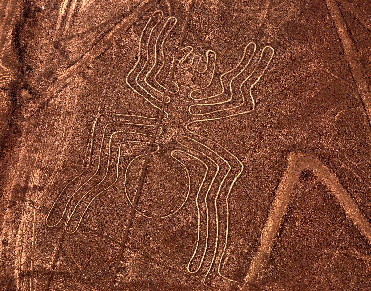 Nazca Homage Wallpapers