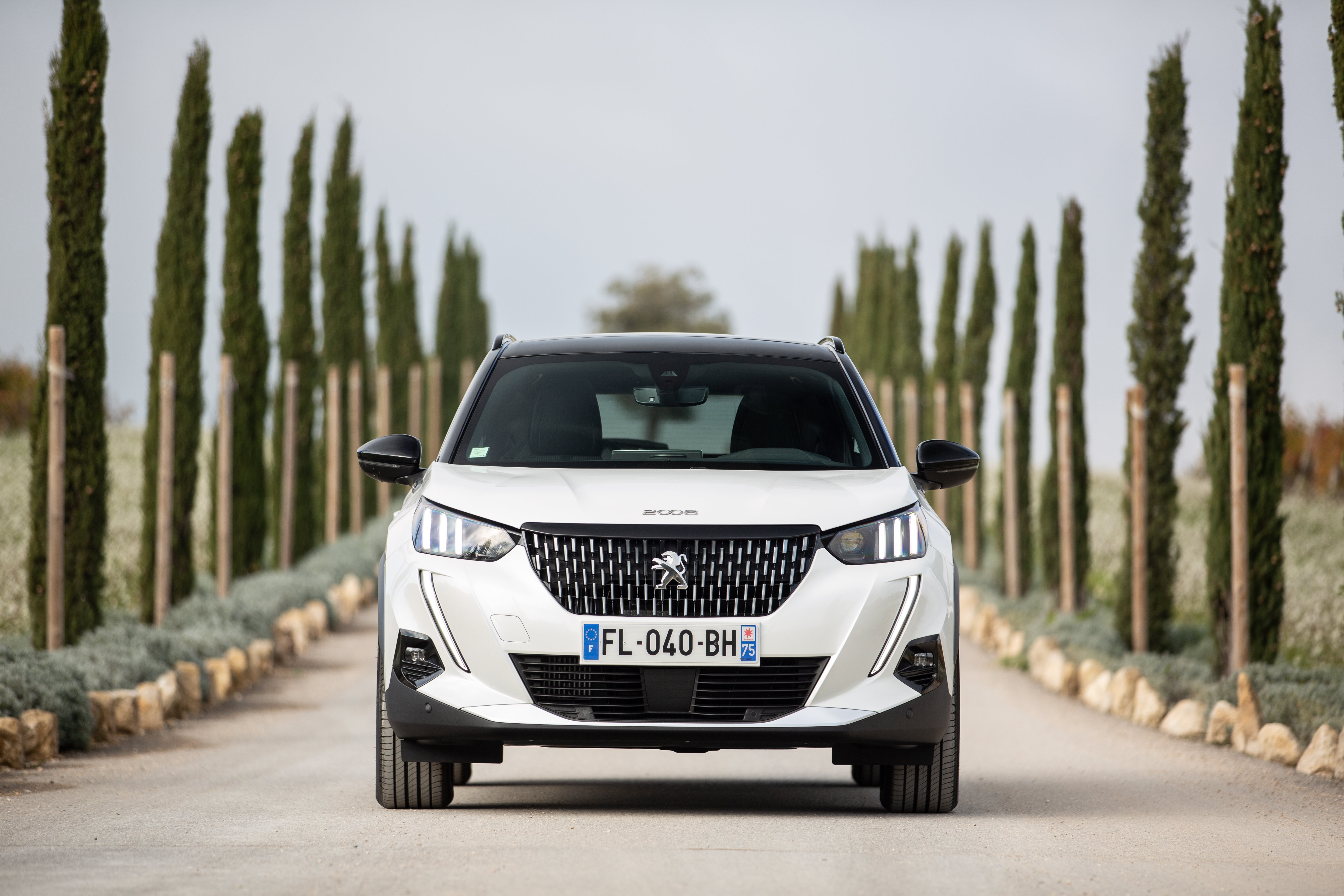 Peugeot 2008 Wallpapers