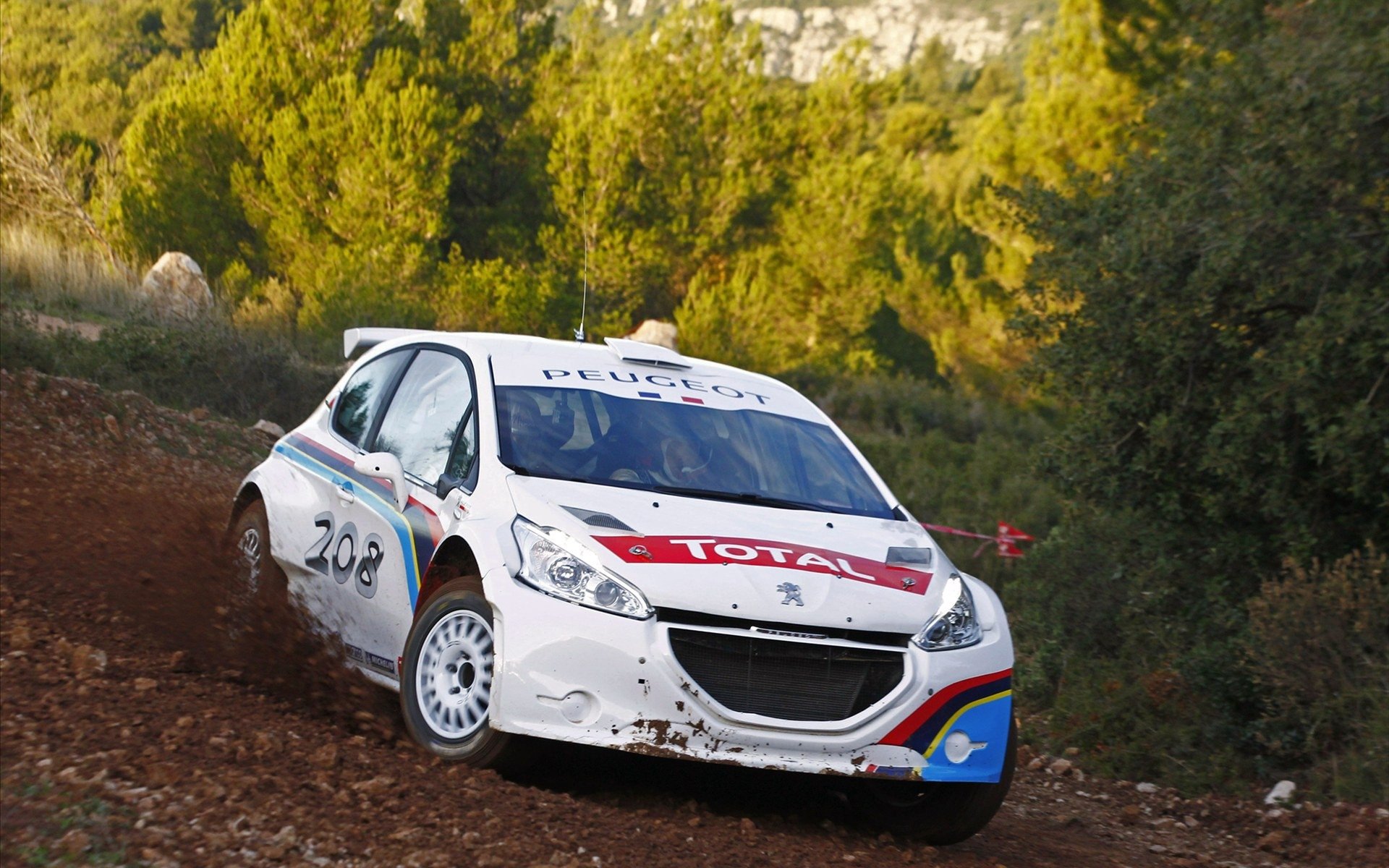 Peugeot 208 R5 Wallpapers