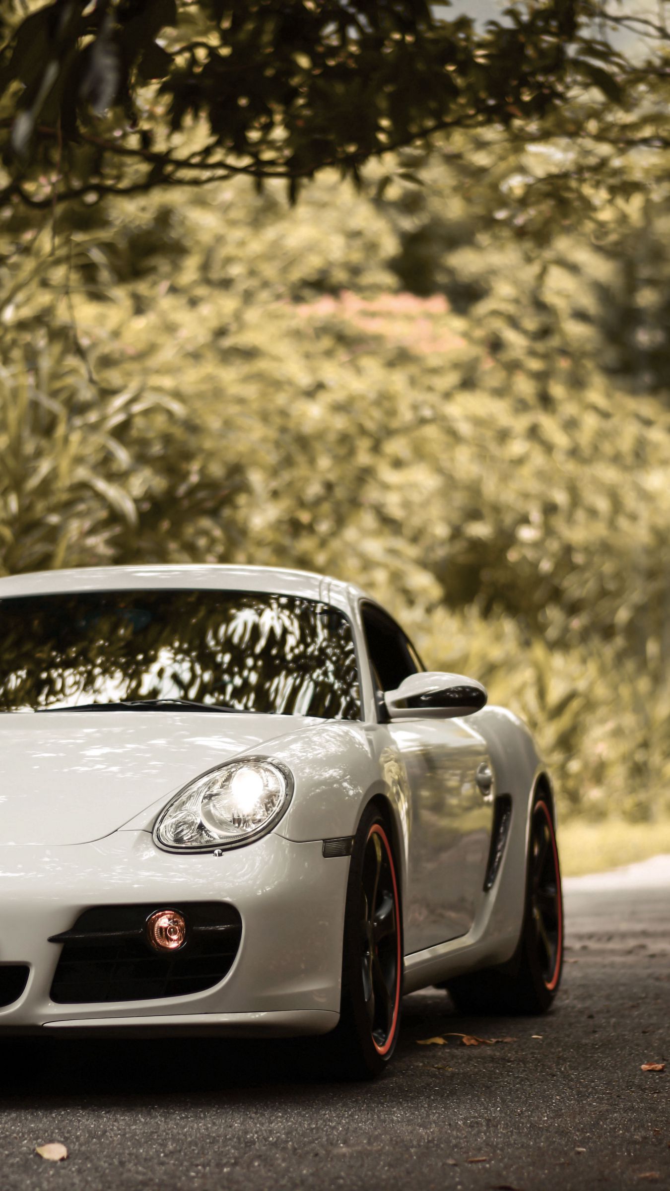 Porsche Cayman Wallpapers