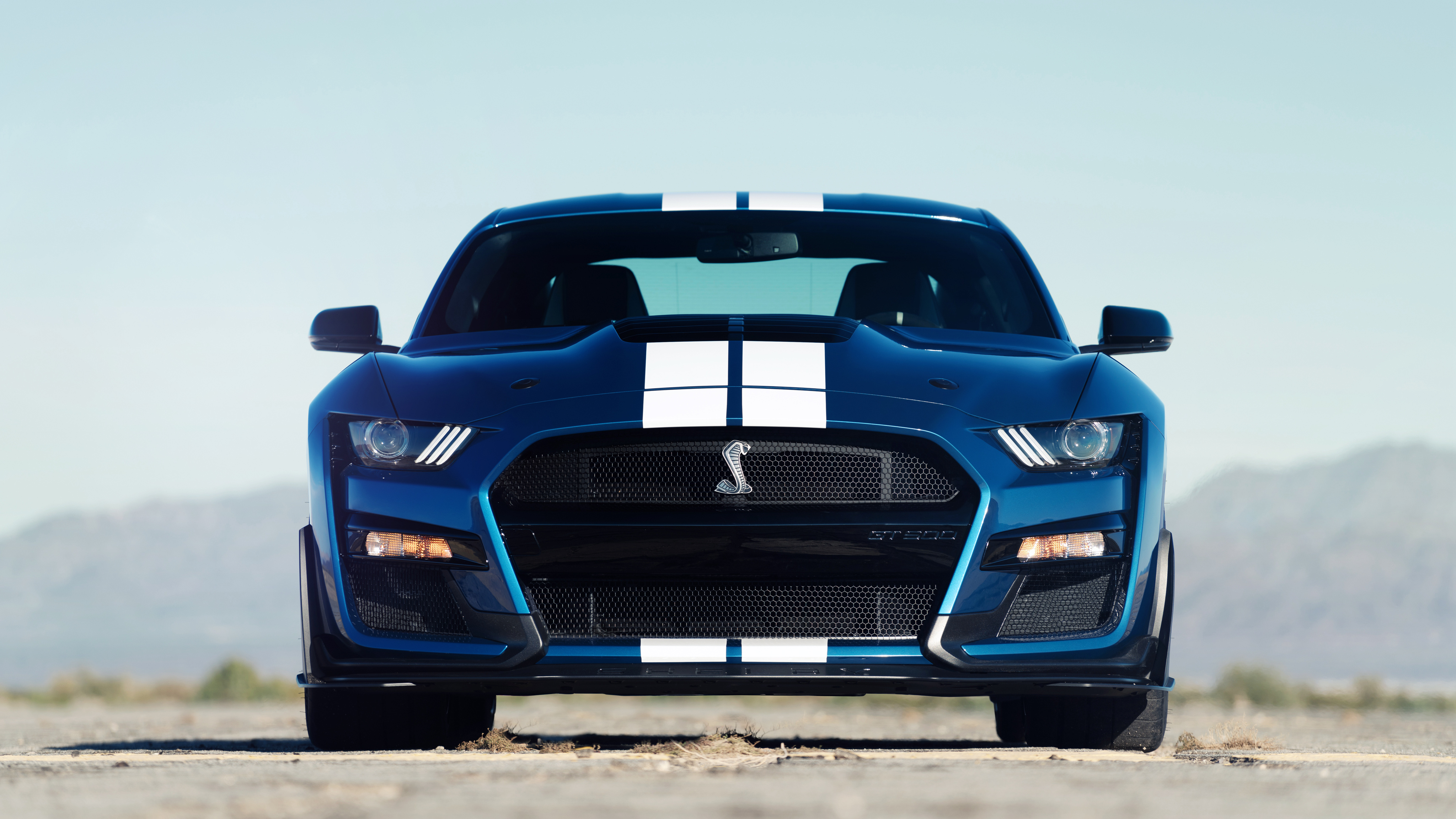 Shelby Cobra Gt500 Wallpapers