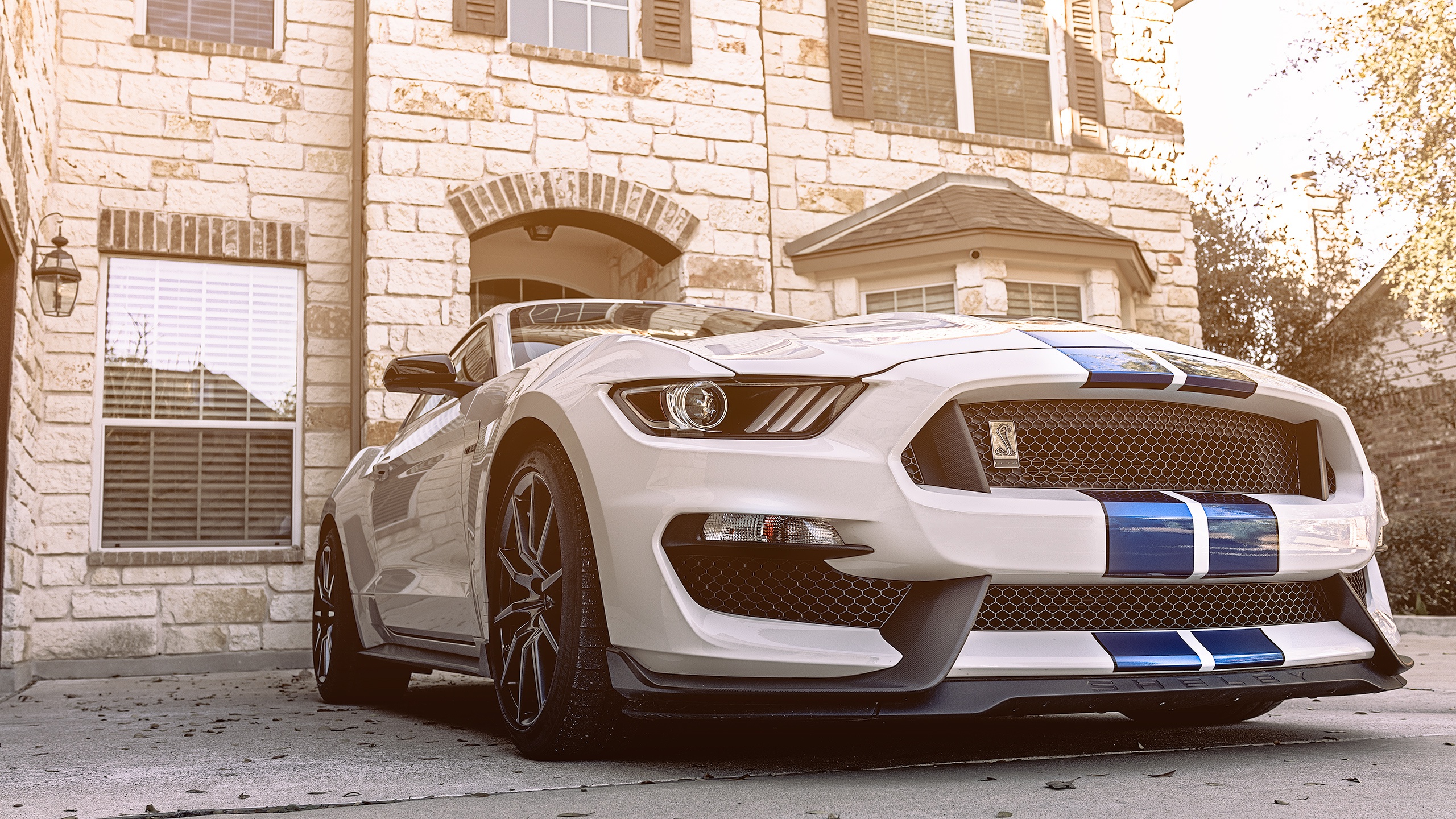 Shelby Mustang Gt 350 Wallpapers