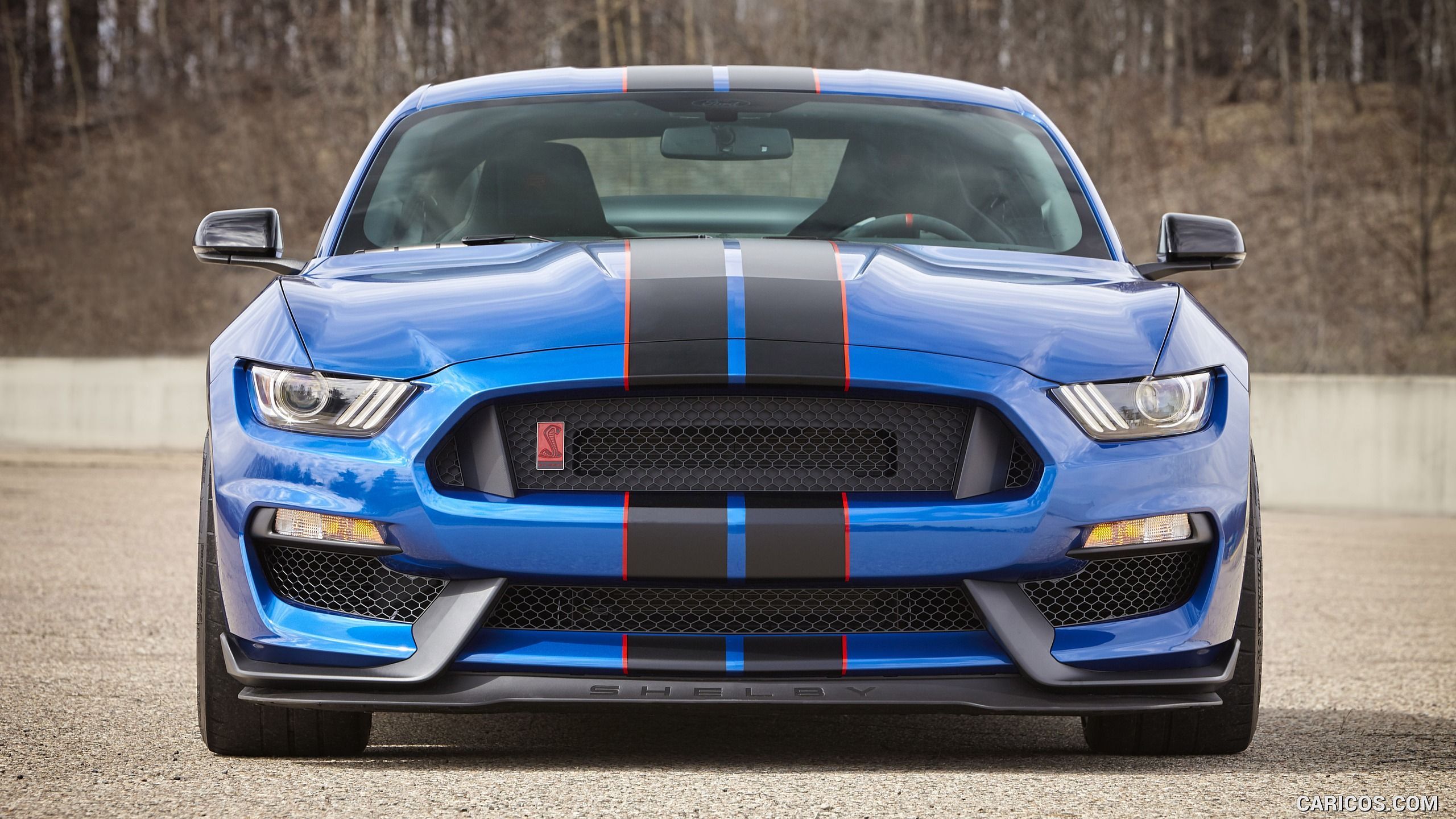 Shelby Mustang Gt 350 Wallpapers