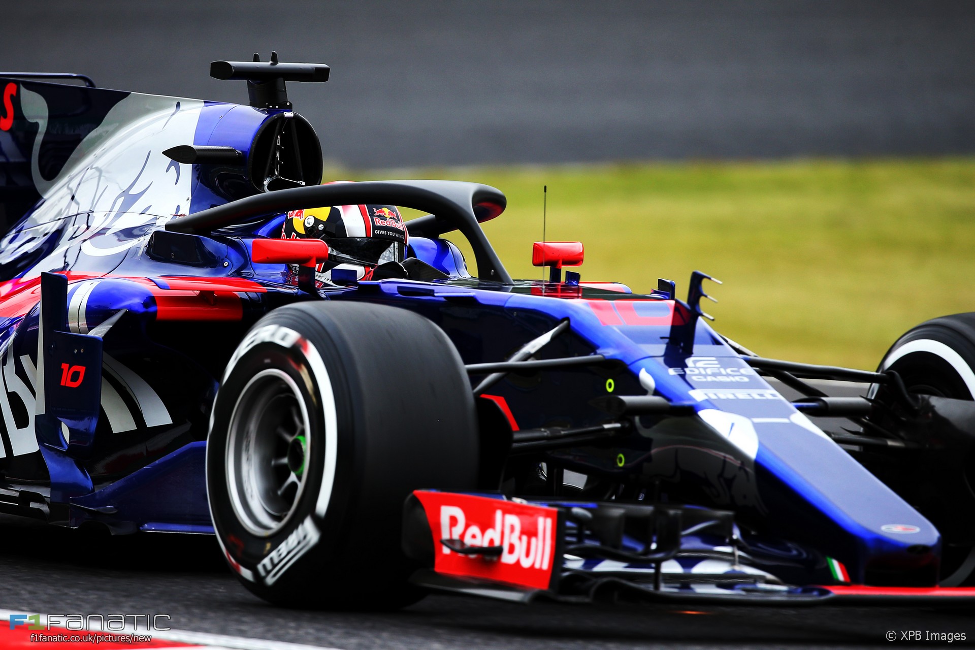 Toro Rosso Wallpapers