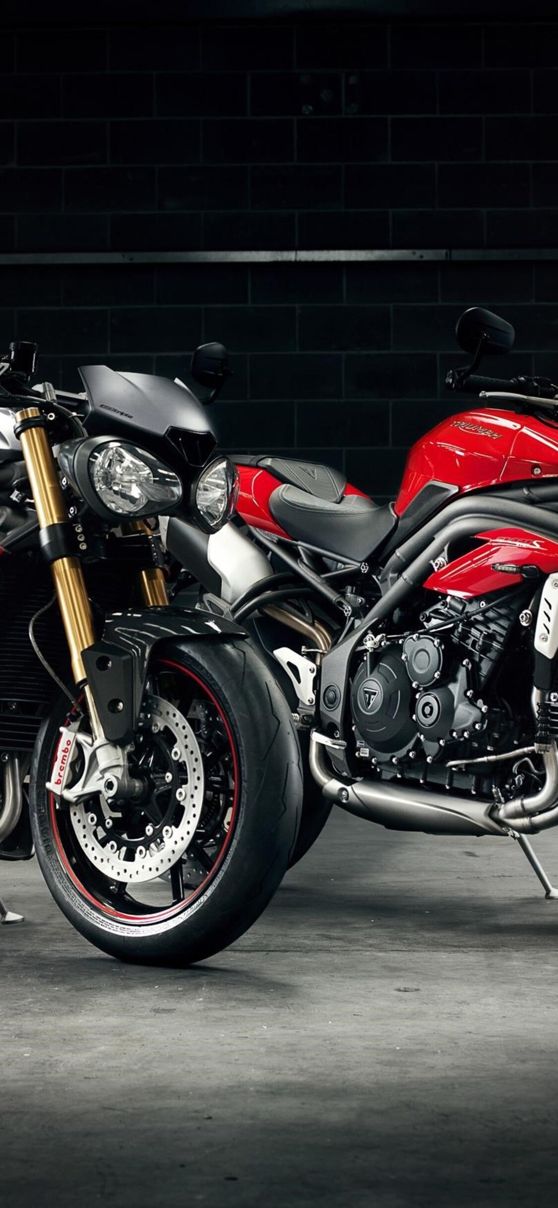 Triumph Speed Triple Wallpapers